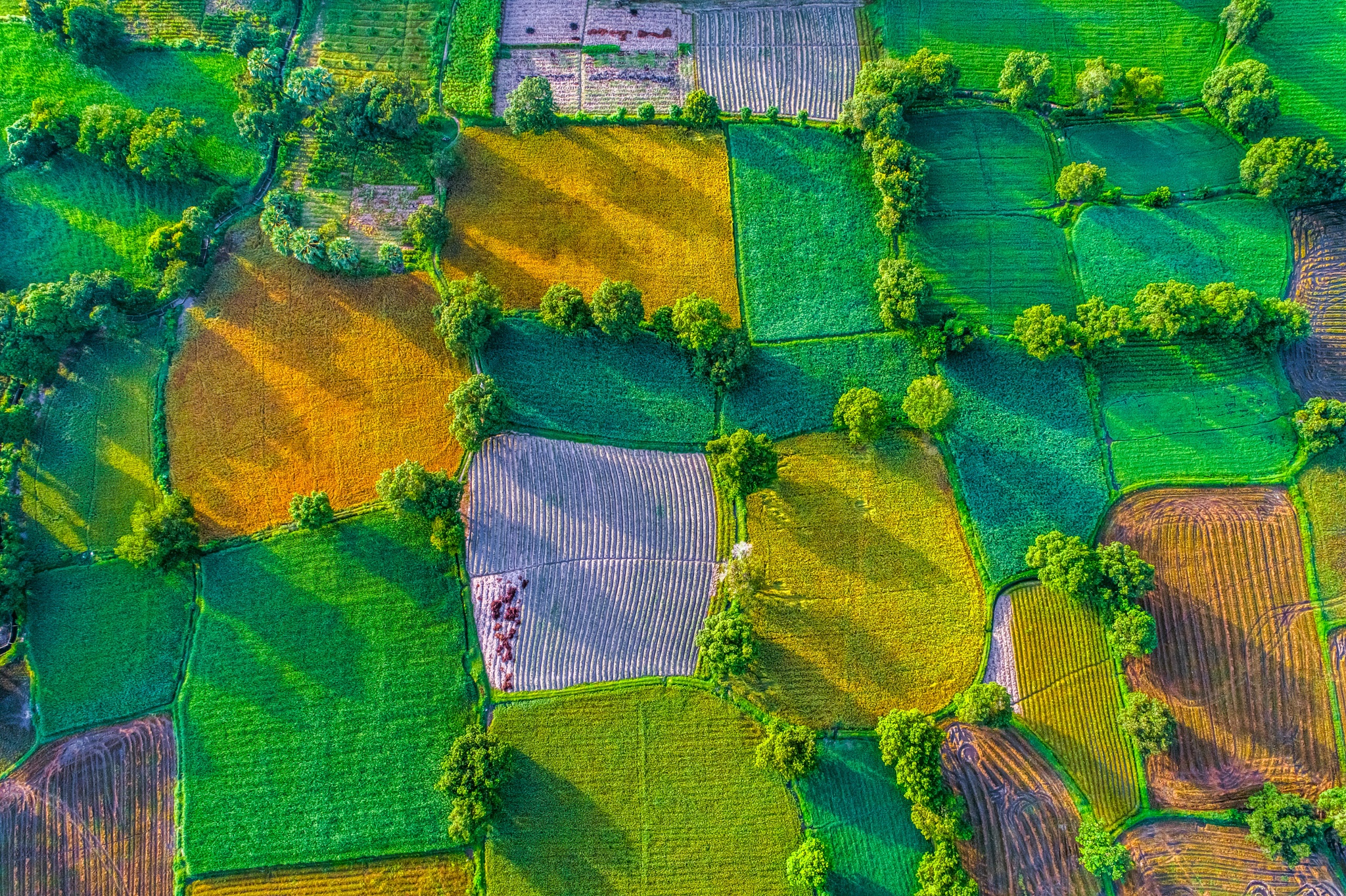ảnh miền núi biển đảo Việt Nam ảnh 73 anh mien nui bien dao Viet Nam anh 73