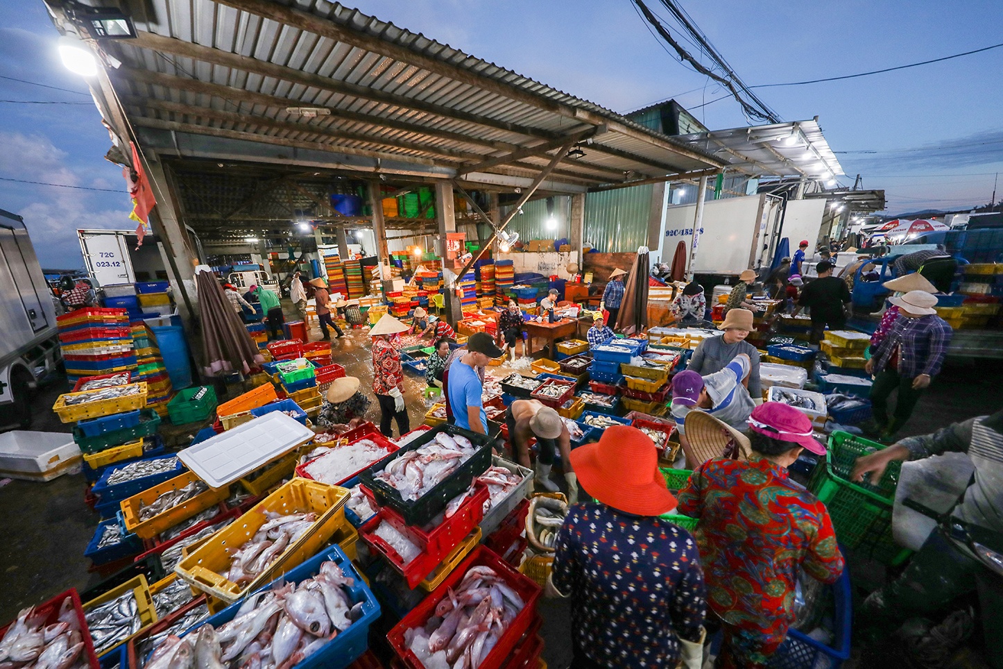 ảnh miền núi biển đảo Việt Nam ảnh 36 anh mien nui bien dao Viet Nam anh 36