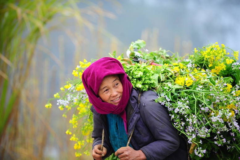ảnh miền núi biển đảo Việt Nam ảnh 44 anh mien nui bien dao Viet Nam anh 44