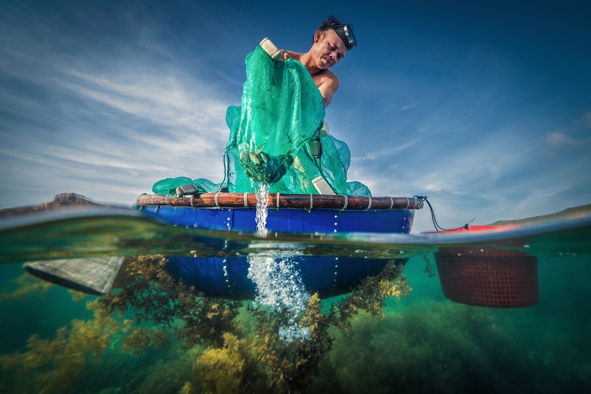 cuoc thi anh nghe thuat anh 8