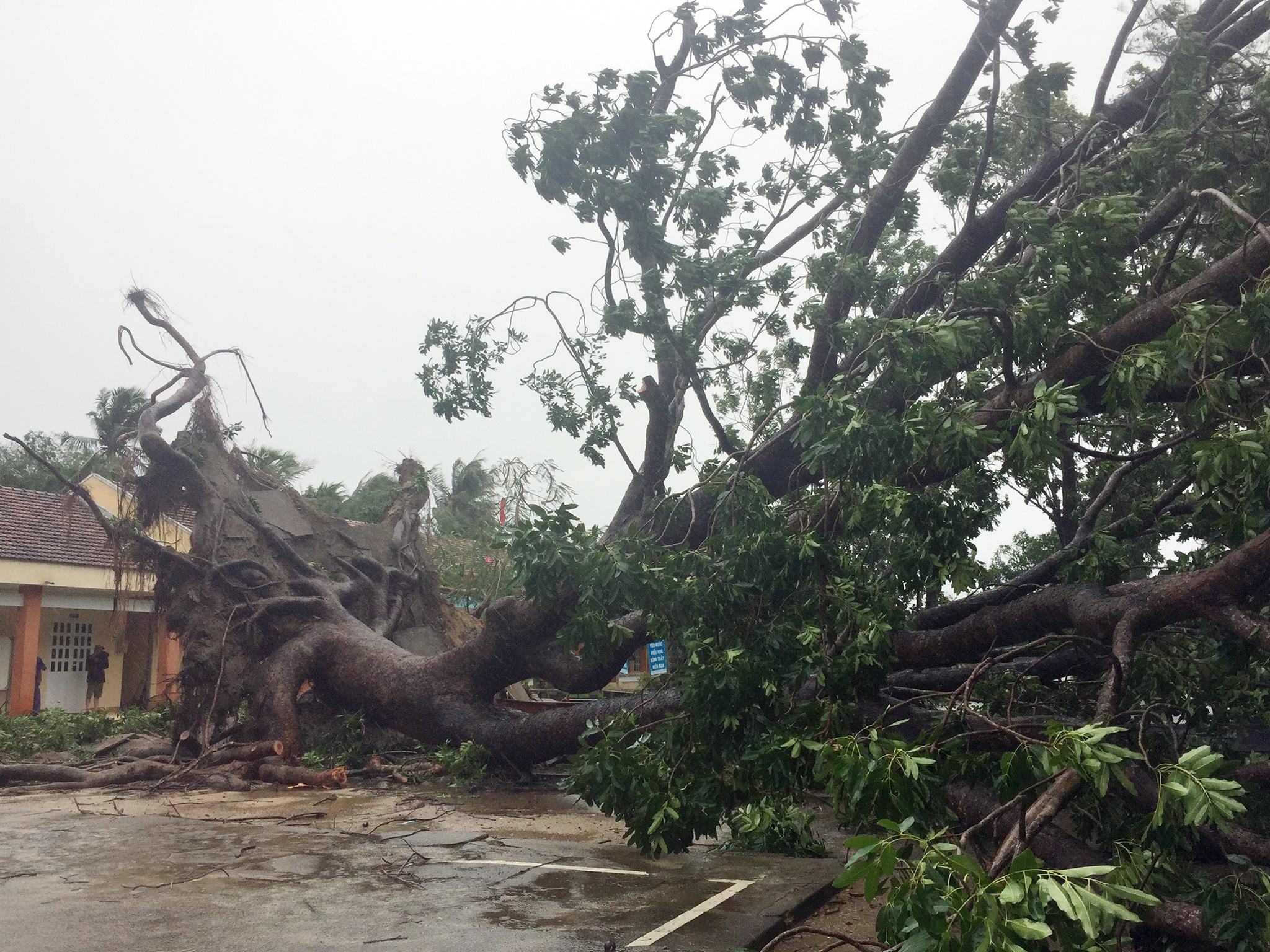 bao so 9 do bo mien Trung anh 9