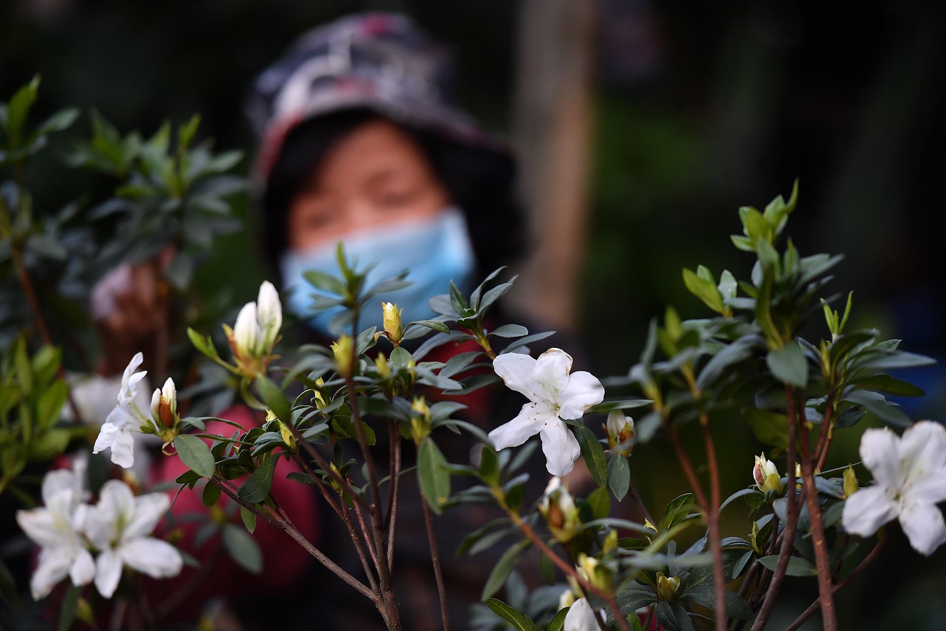 un tac giao thong ngay Tet o Ha Noi anh 10