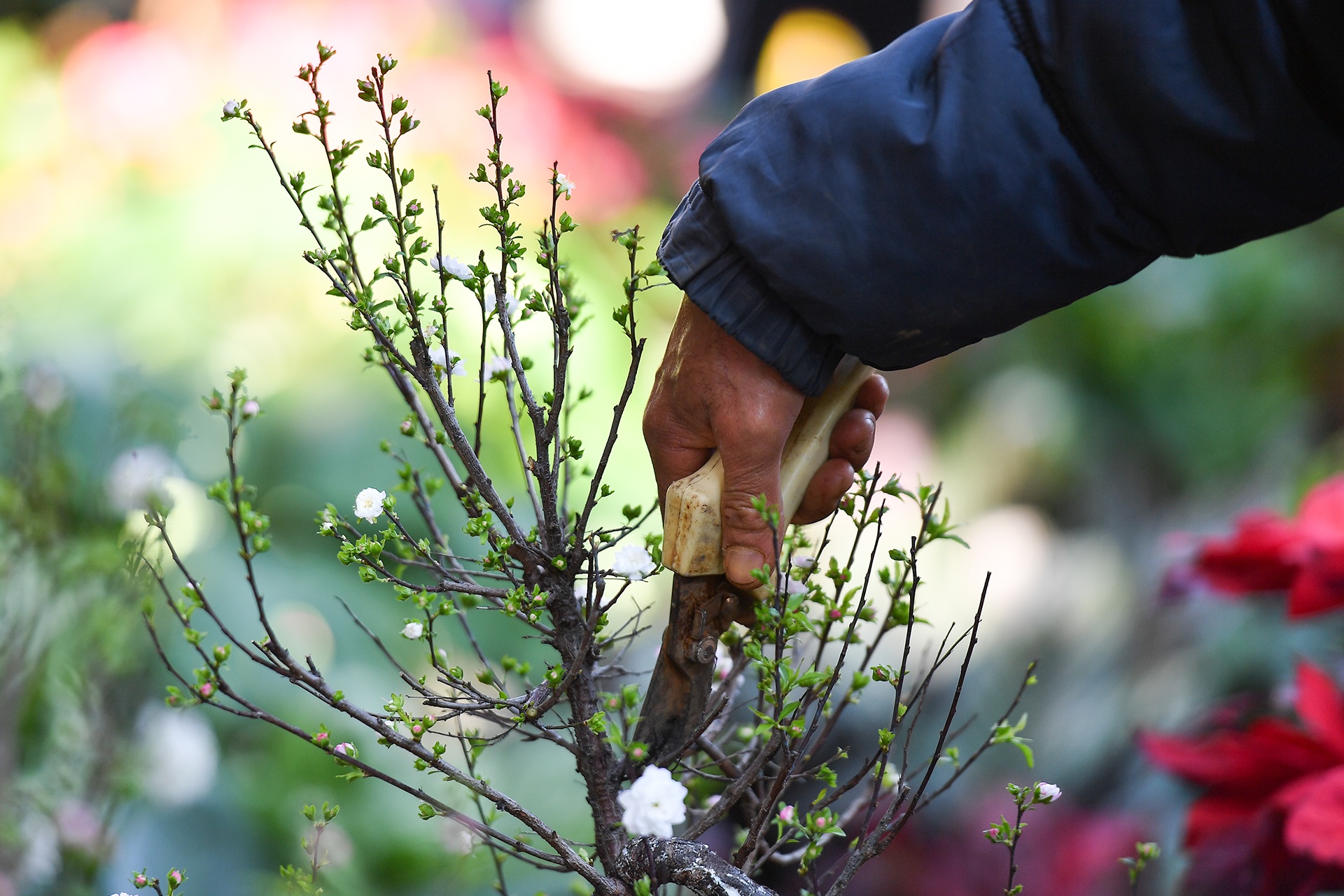 un tac giao thong ngay Tet o Ha Noi anh 7