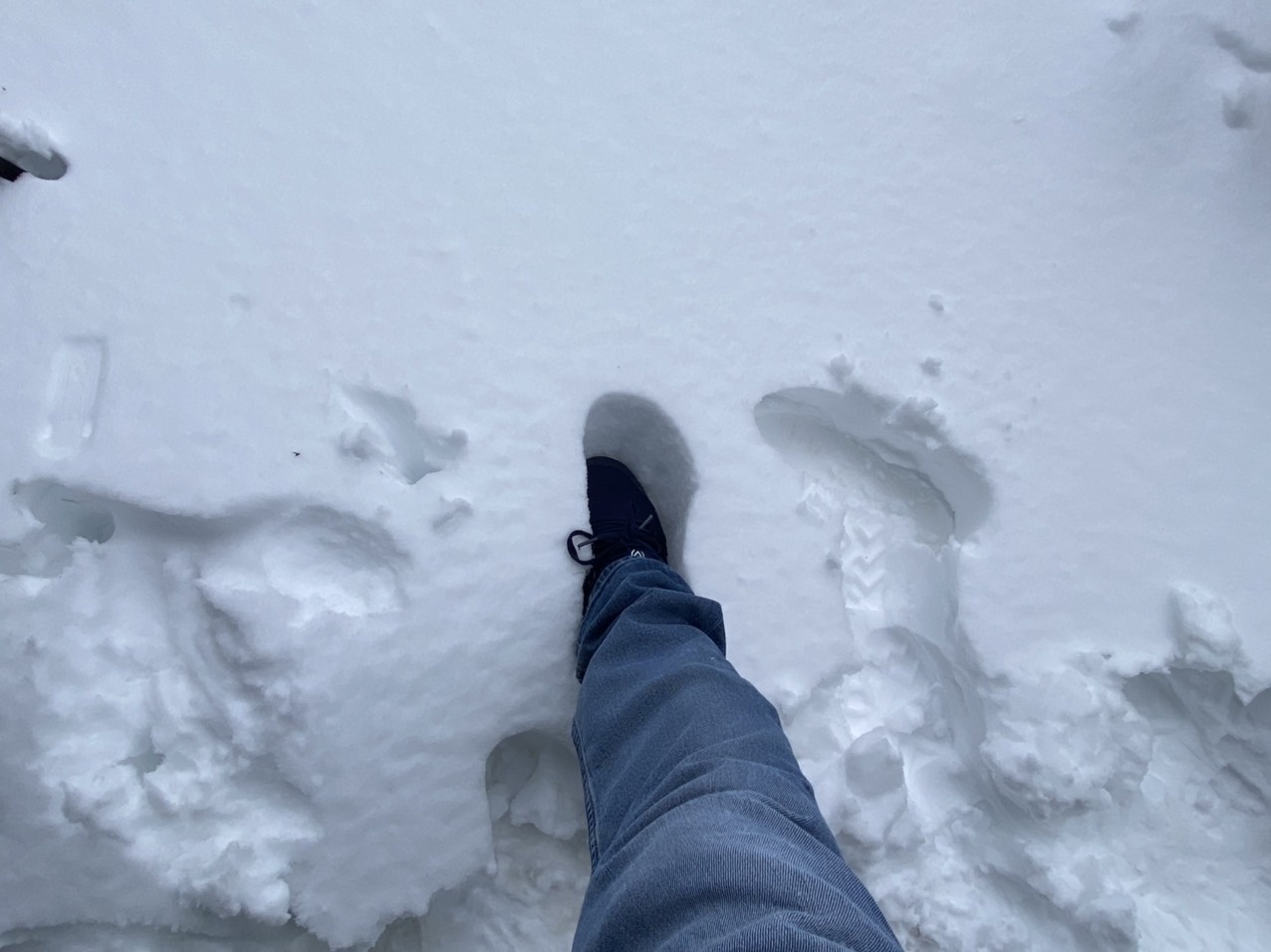 tuyet roi sat Tet tren dinh Fansipan anh 27