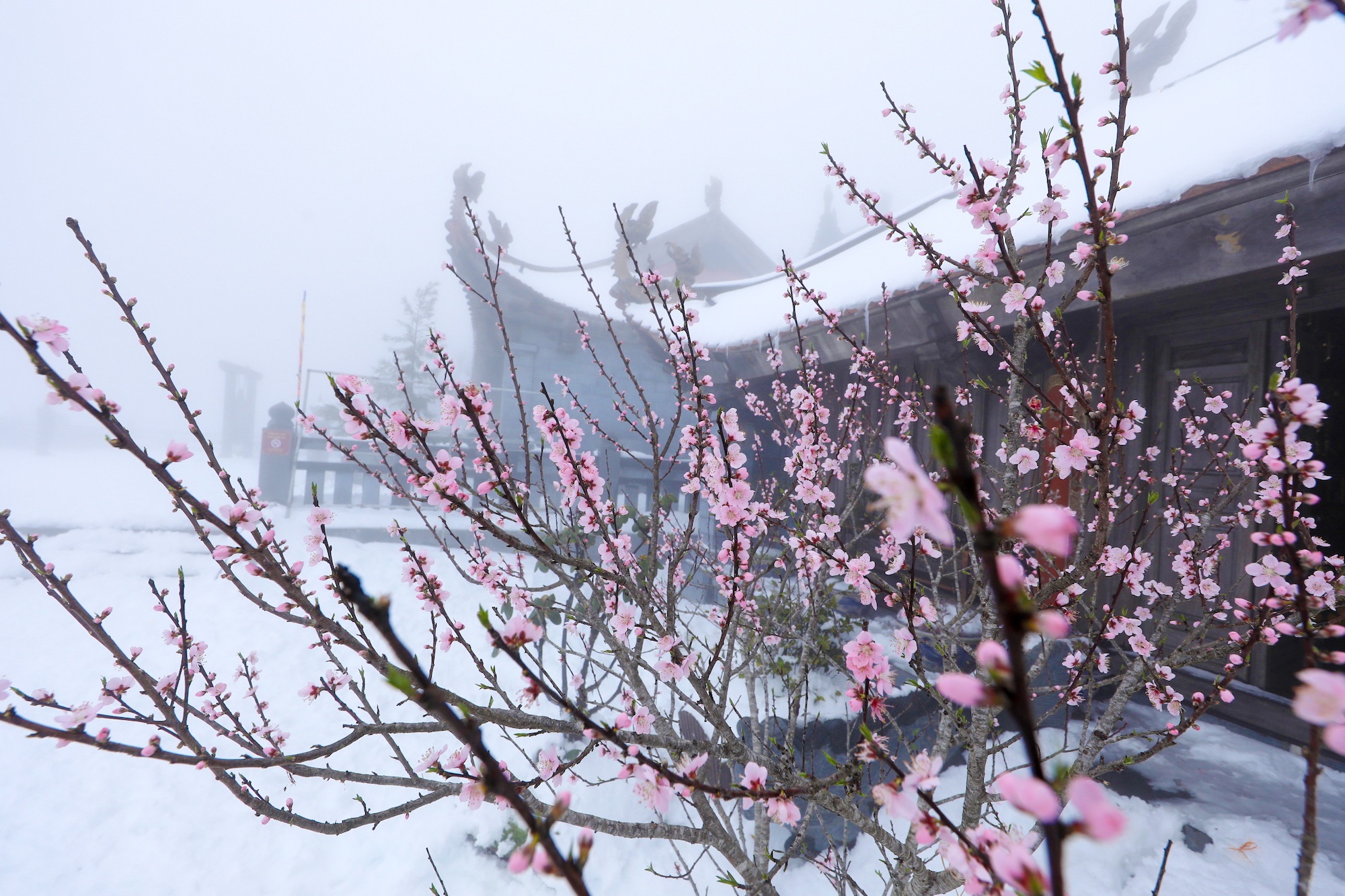 tuyet roi thu hut du khach len dinh Fansipan anh 9