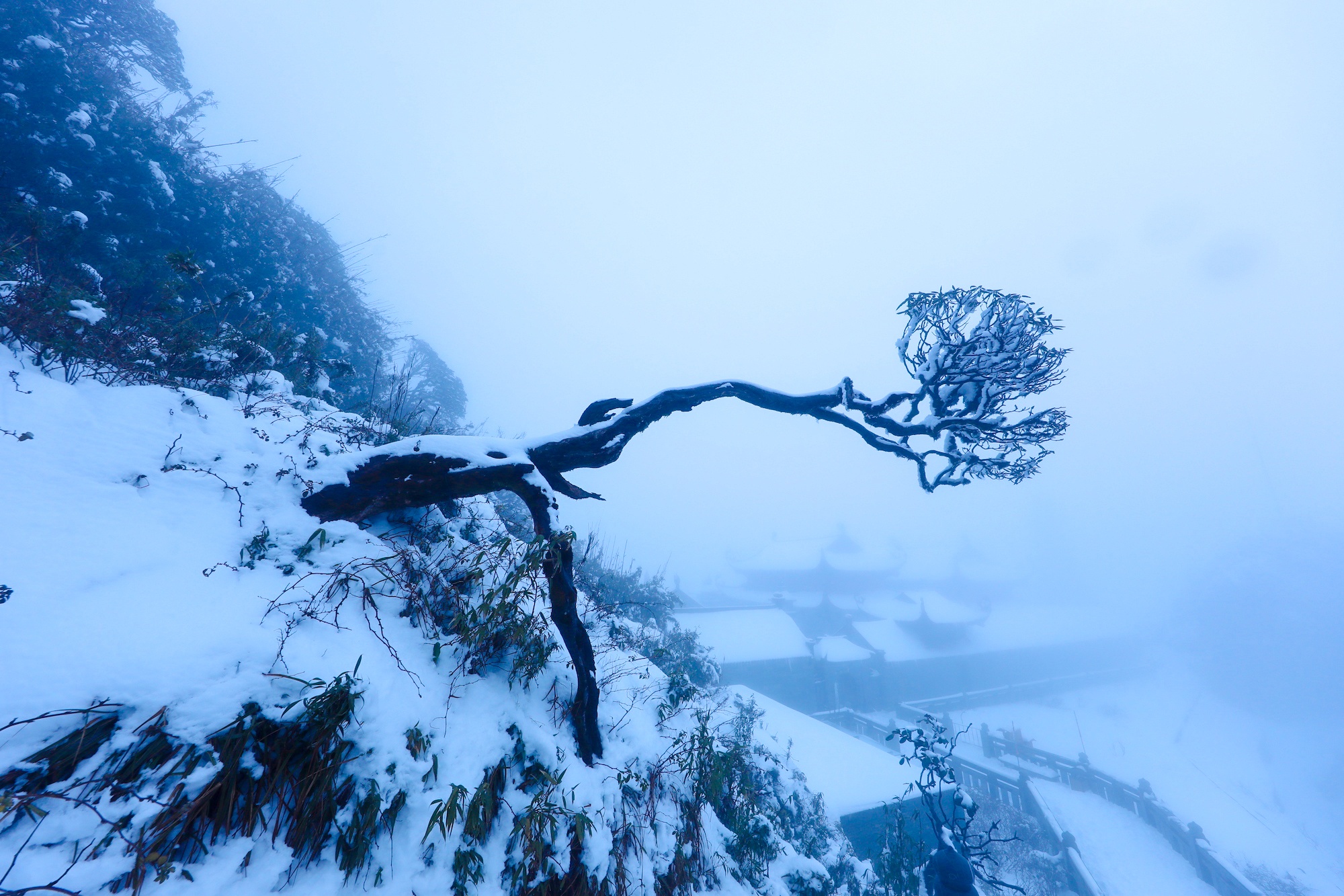 tuyet roi thu hut du khach len dinh Fansipan anh 27