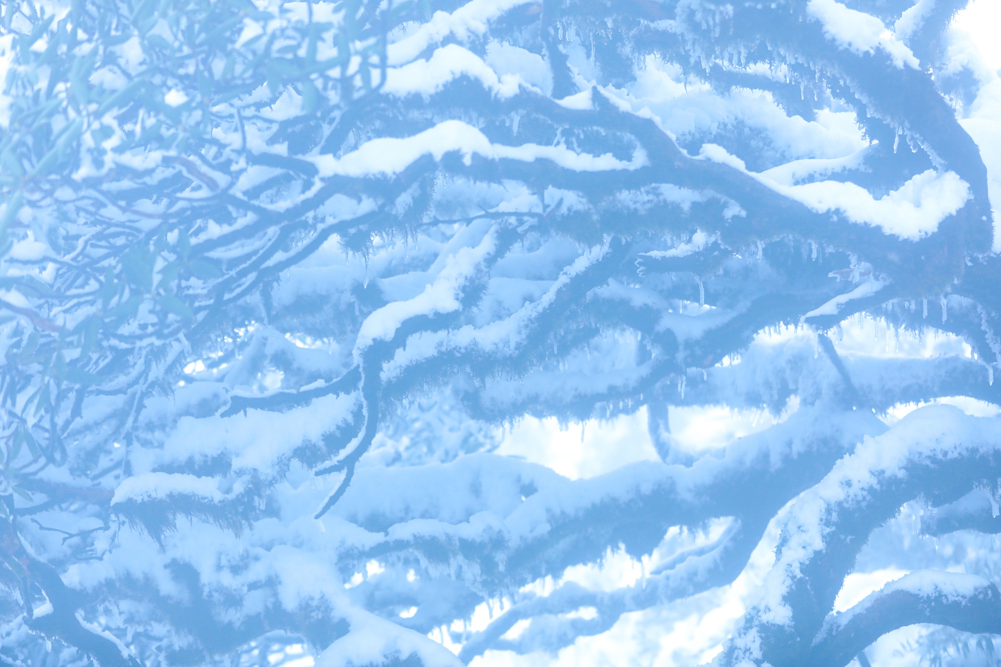 tuyet roi thu hut du khach len dinh Fansipan anh 28