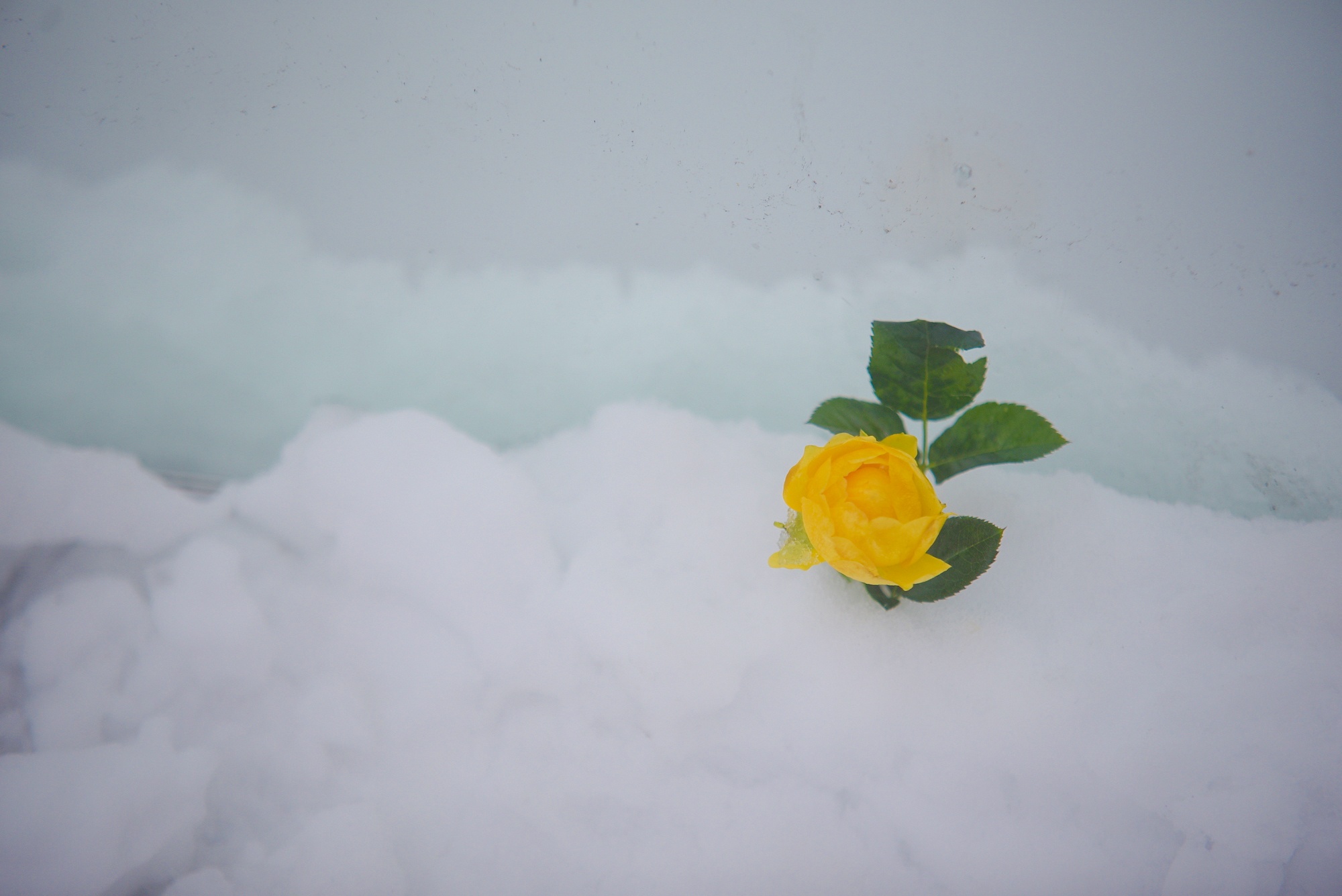 tuyet roi thu hut du khach len dinh Fansipan anh 34