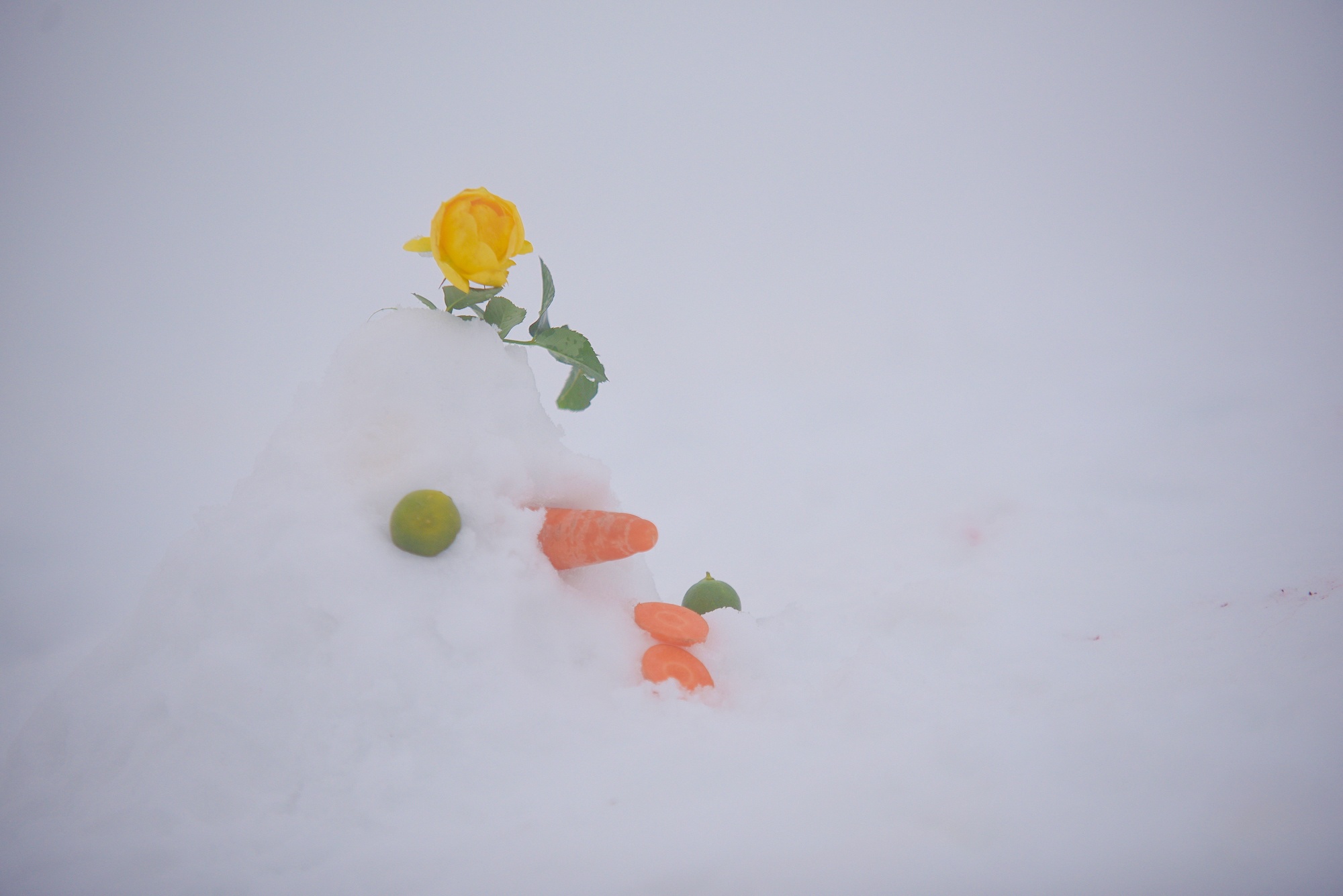 tuyet roi thu hut du khach len dinh Fansipan anh 35