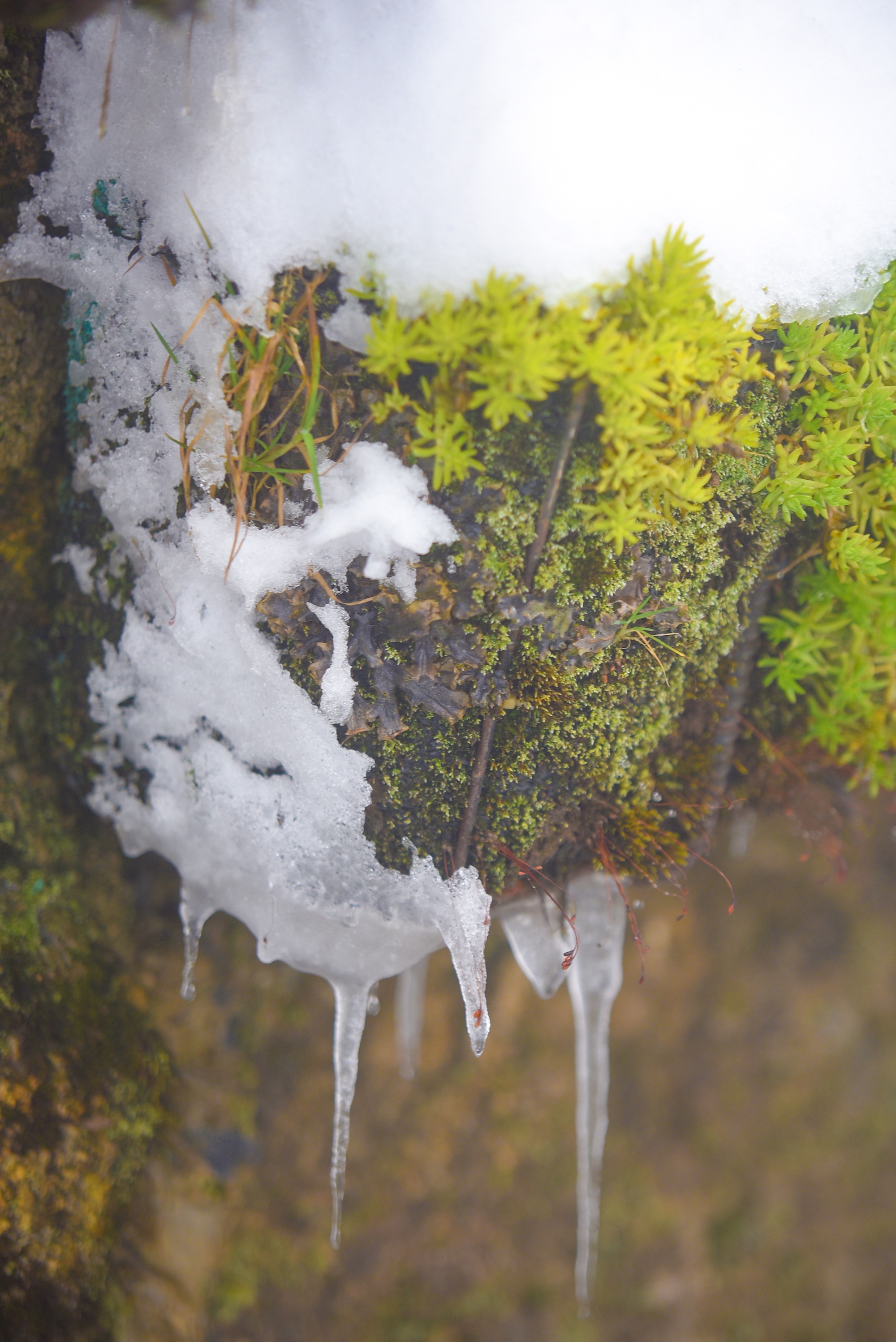 tuyet roi thu hut du khach len dinh Fansipan anh 42