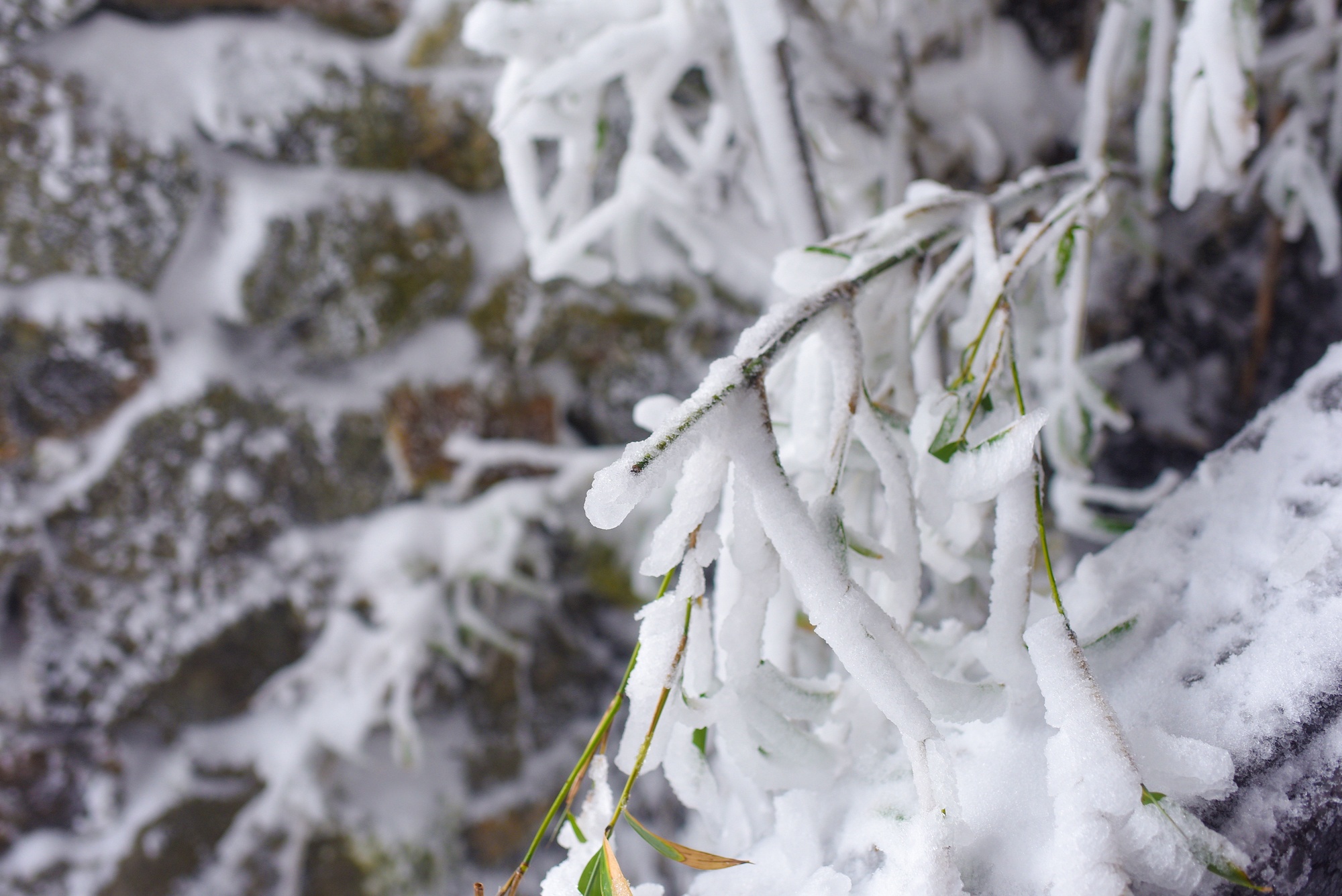 tuyet roi thu hut du khach len dinh Fansipan anh 47