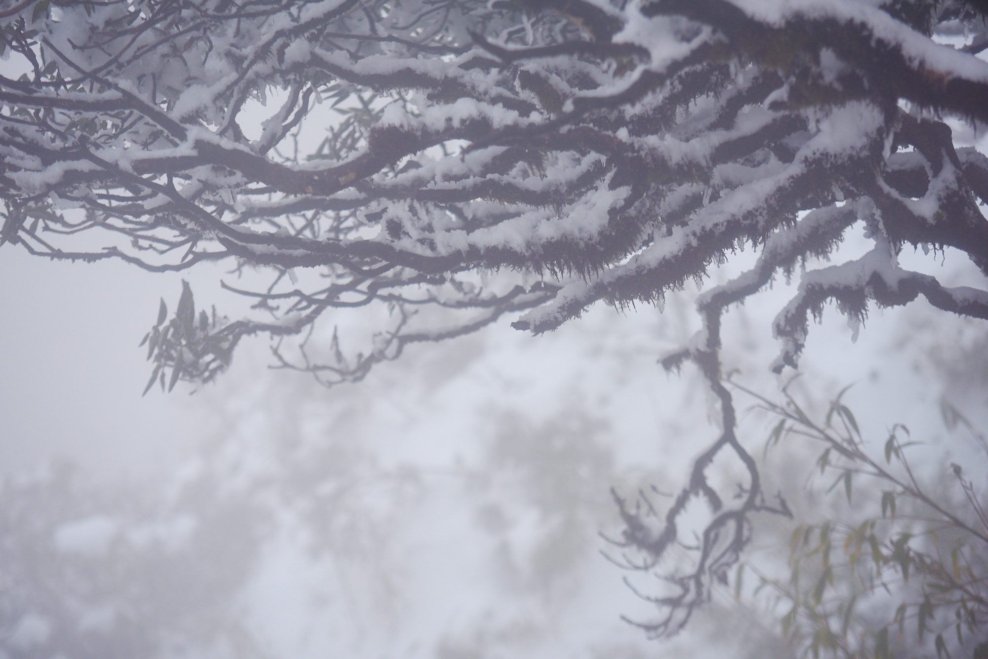 tuyet roi thu hut du khach len dinh Fansipan anh 53