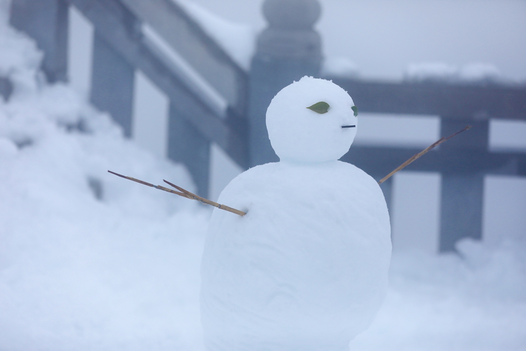 tuyet roi thu hut du khach len dinh Fansipan anh 10
