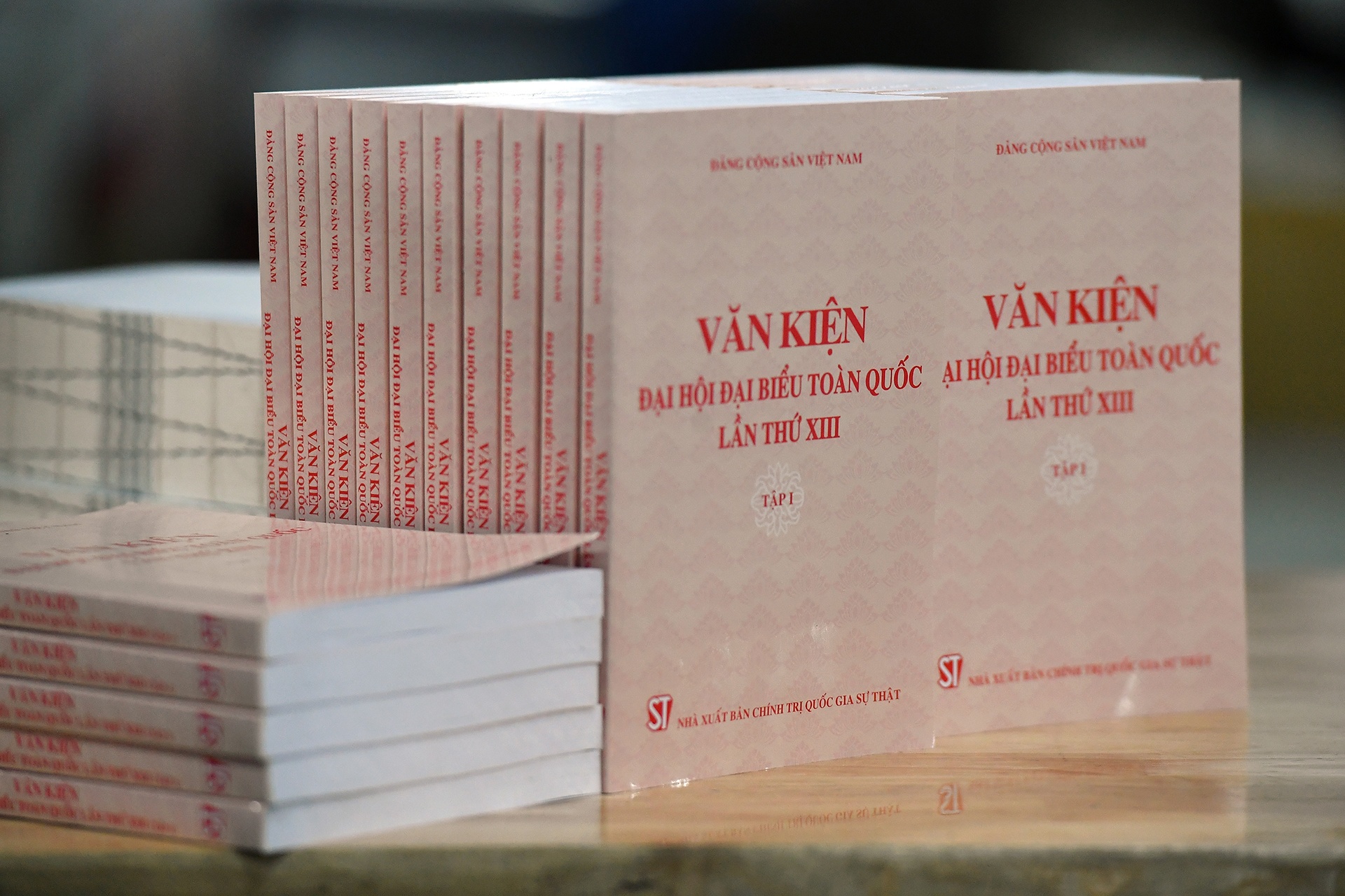 Van kien Dai hoi Dang XIII anh 5