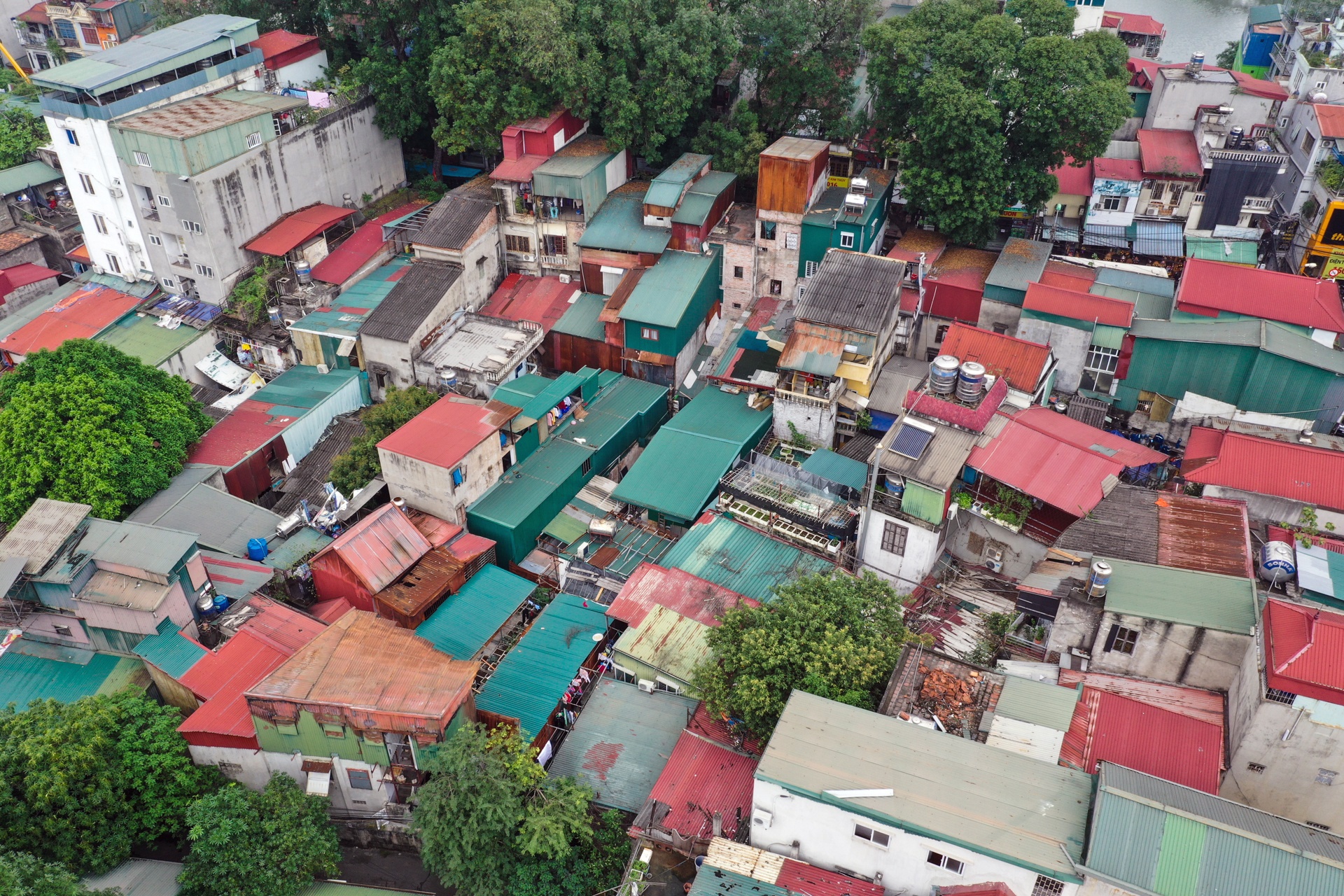 anh chu y trong tuan tren Zing anh 5