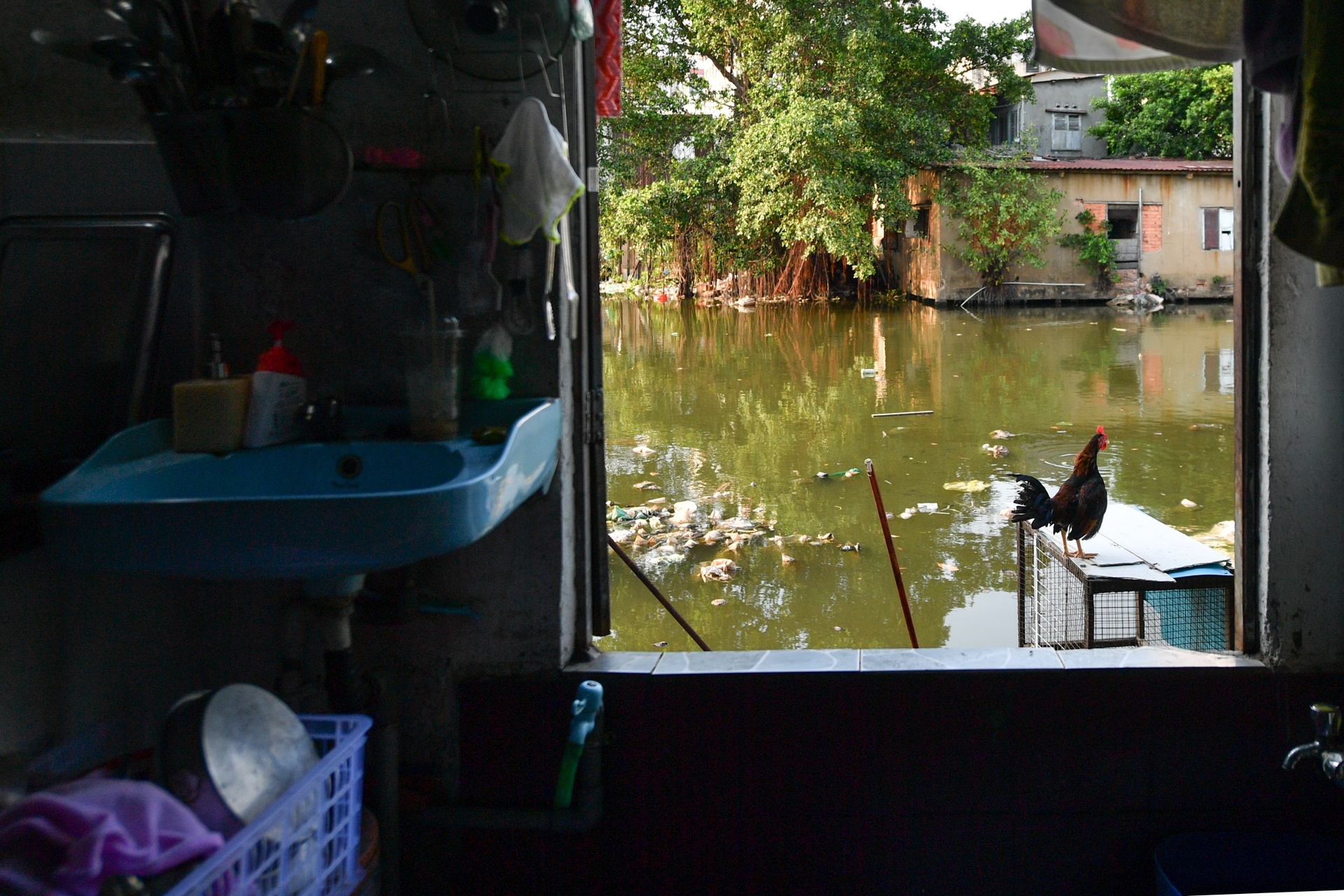 photos of the week ảnh 4 photos of the week anh 4