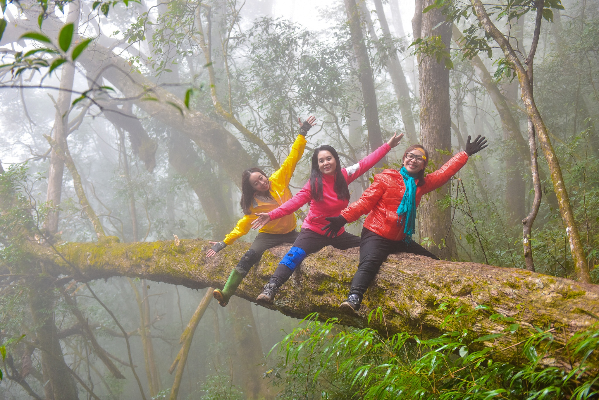 vuong quoc may Nhiu Co San anh 35