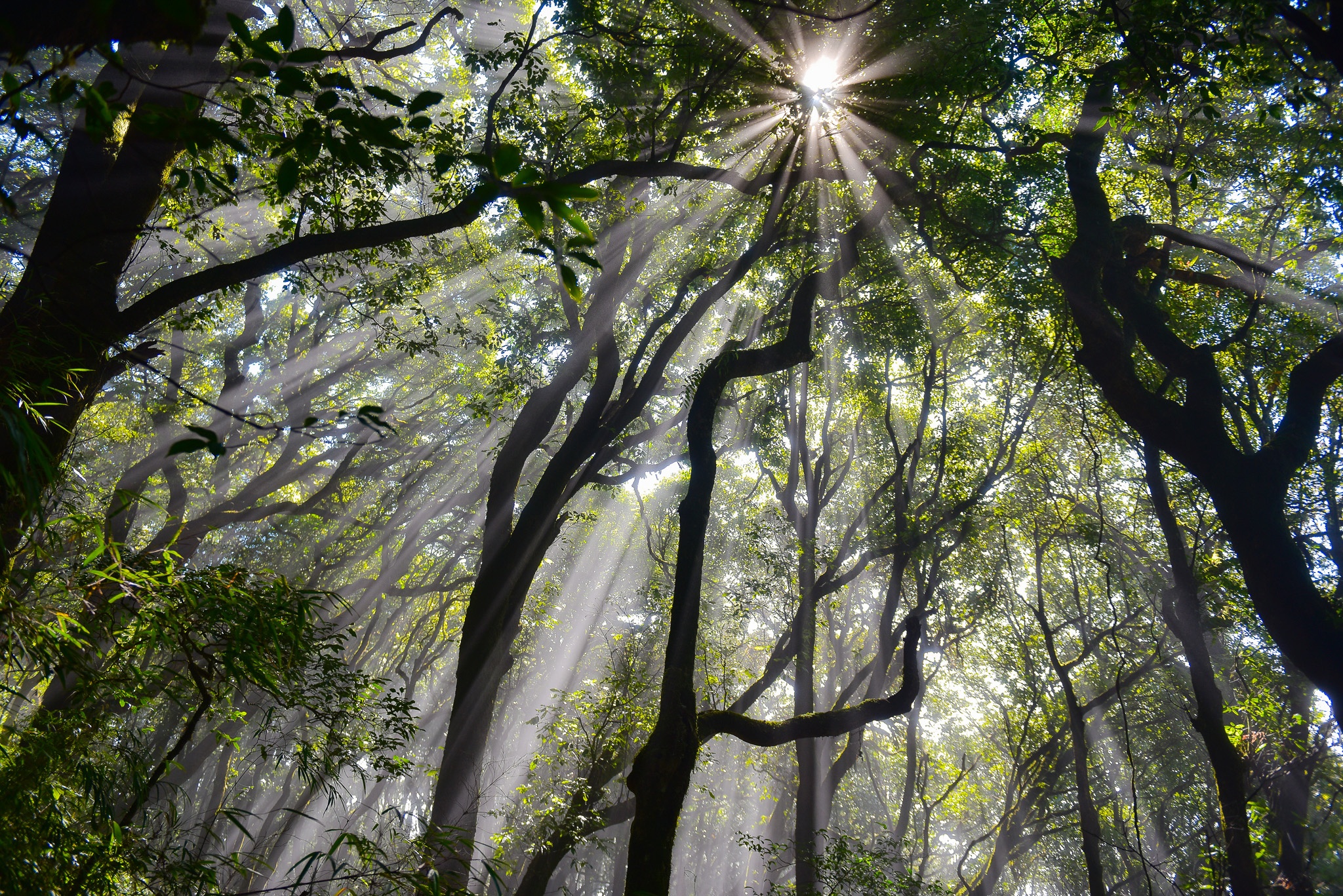 vuong quoc may Nhiu Co San anh 33