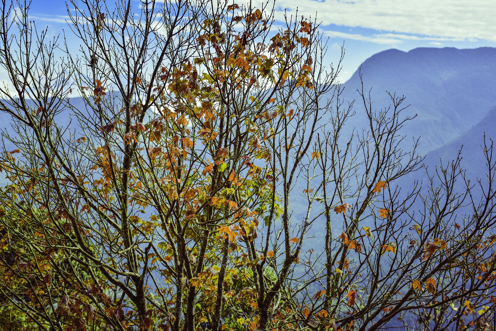 vuong quoc may Nhiu Co San anh 23