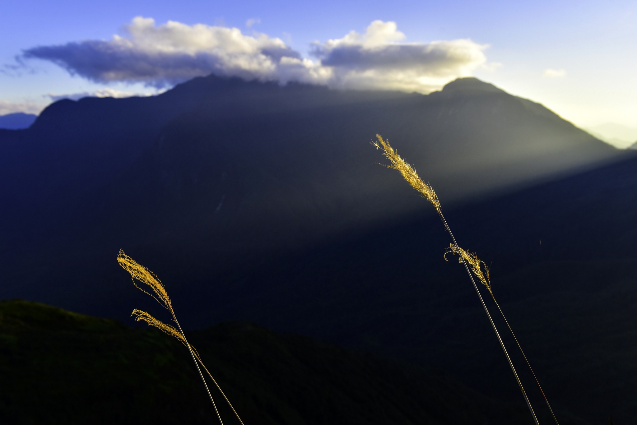 vuong quoc may Nhiu Co San anh 25