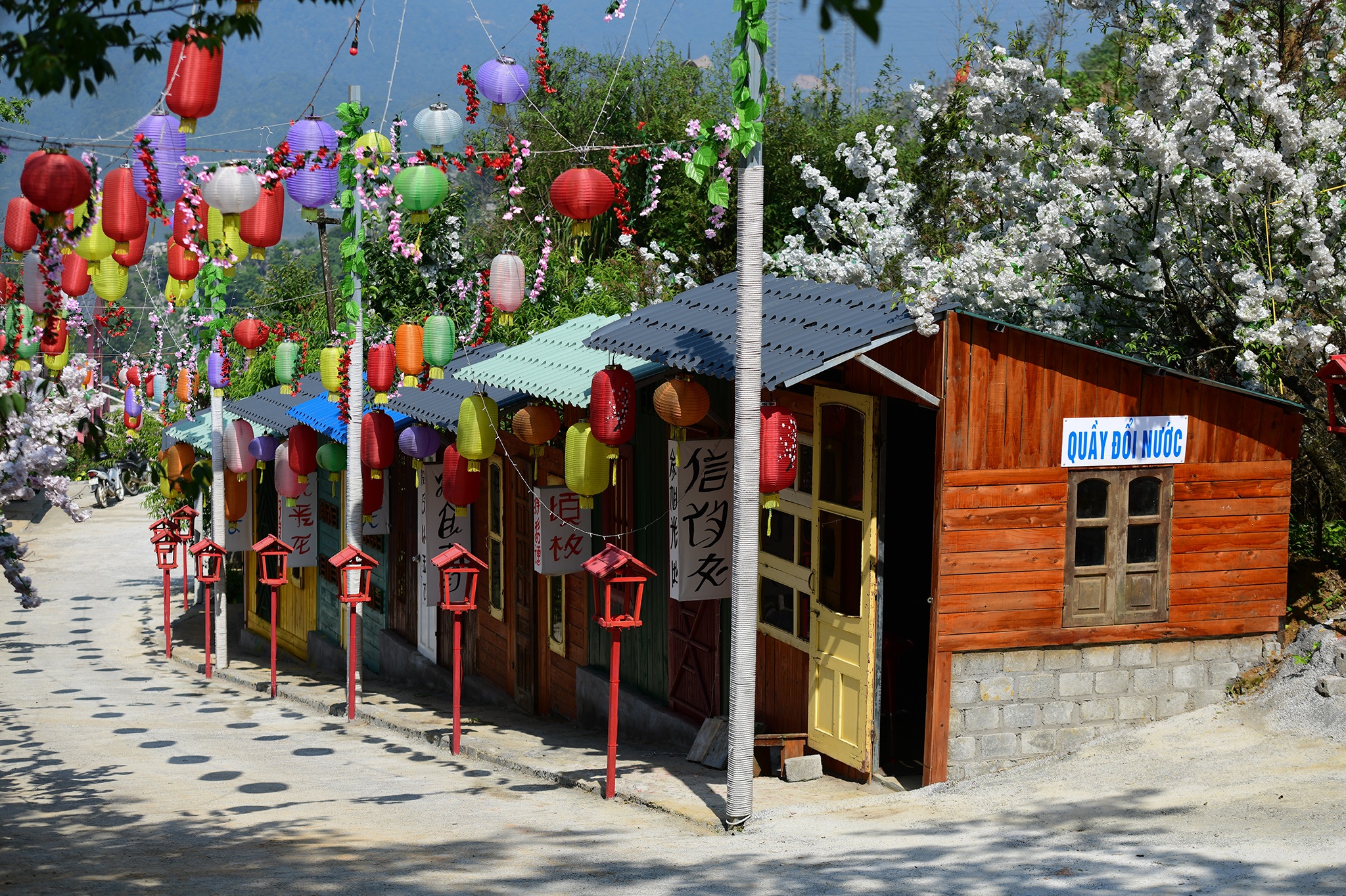 tuong Nu than tu do phien ban loi anh 5