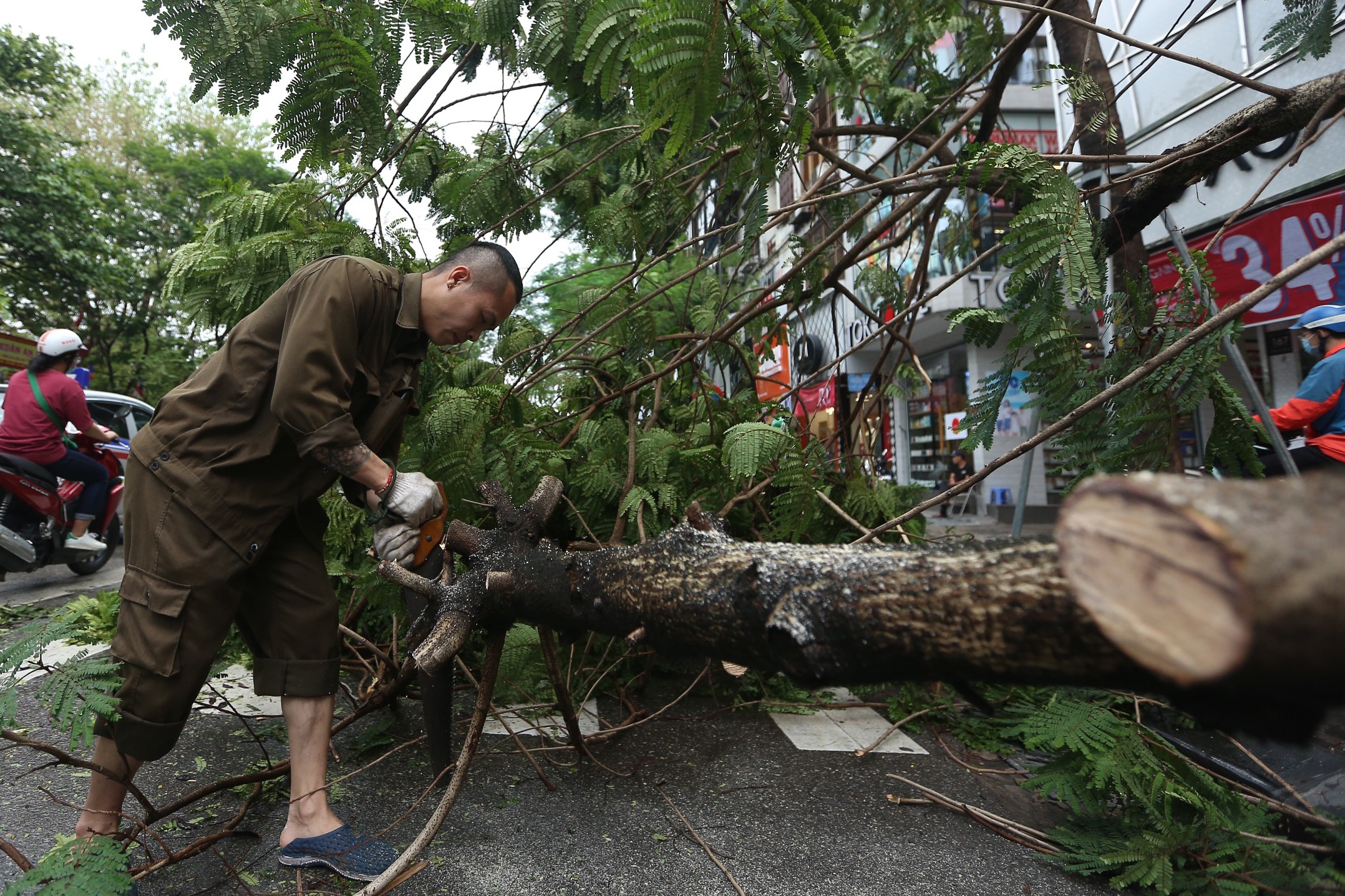 Cay do, duong pho te liet vi mua lon hinh anh