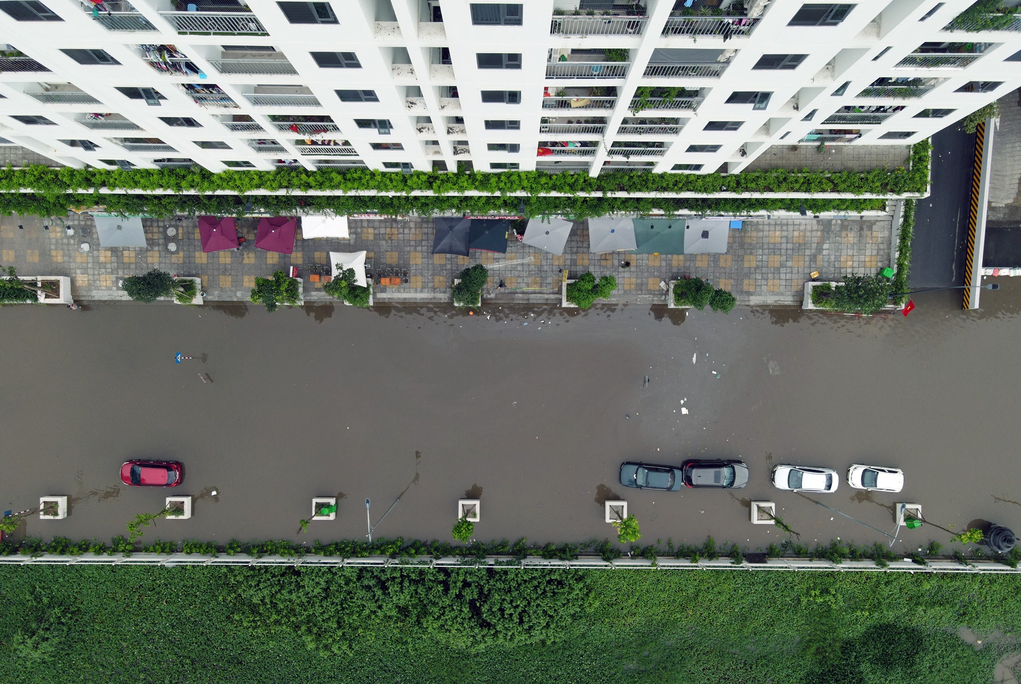 o to bi ngap o Ecohome anh 1