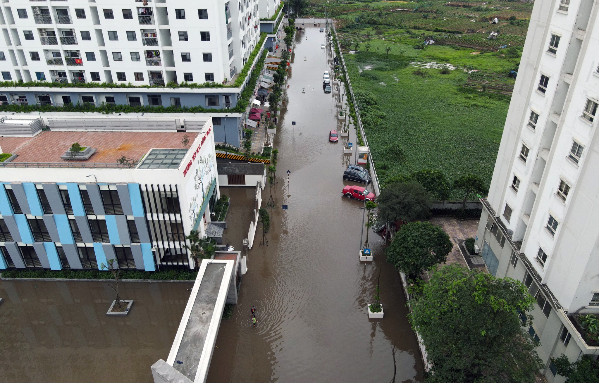 o to bi ngap o Ecohome anh 2