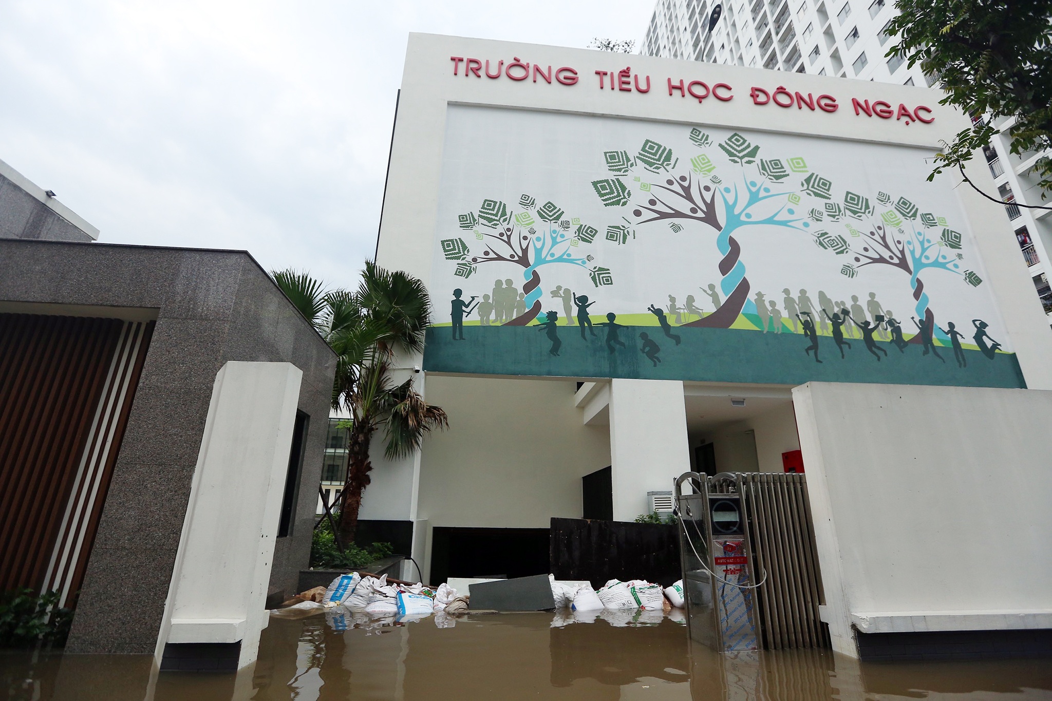 o to bi ngap o Ecohome anh 8