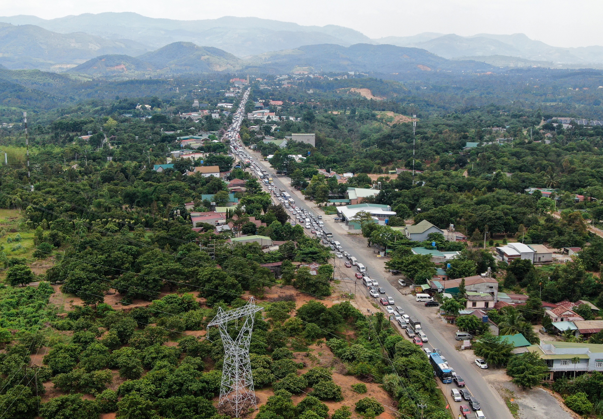 canh chen lan giua mua dich dip 30/4 anh 6