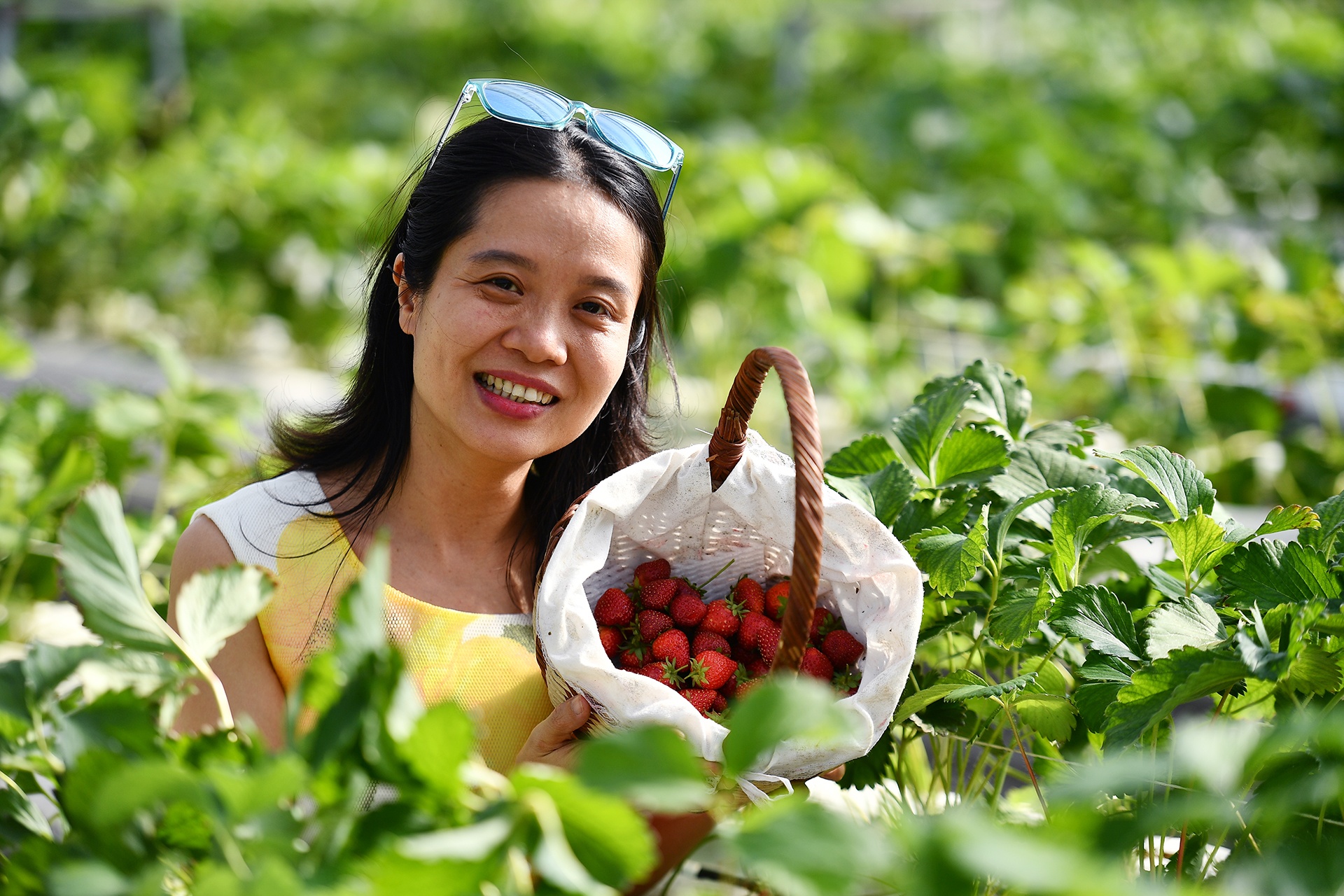 tắm lá người Dao ở Sa Pa ảnh 2 tam la nguoi Dao o Sa Pa anh 2