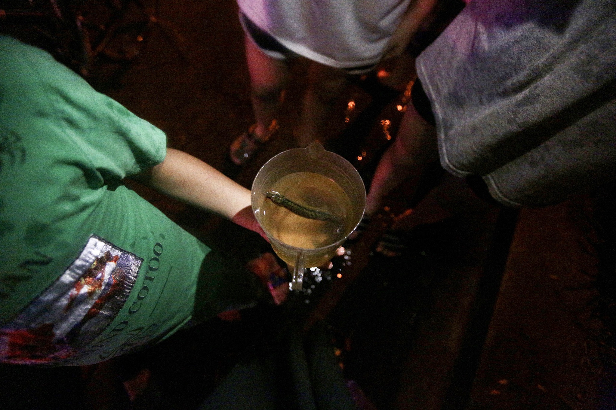 bat ca ngoai duong trong mua ngap anh 4