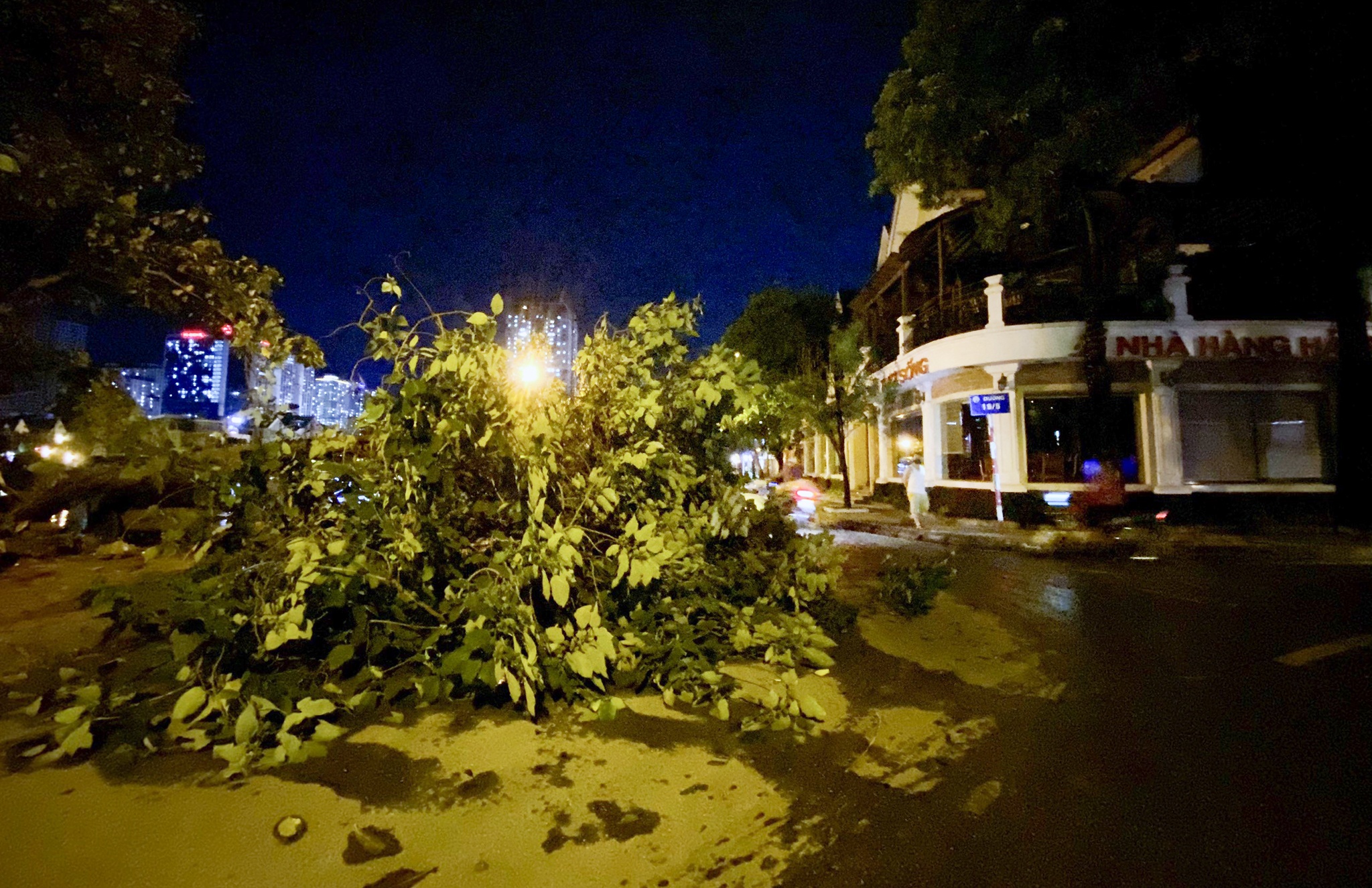 bat ca ngoai duong trong mua ngap anh 13