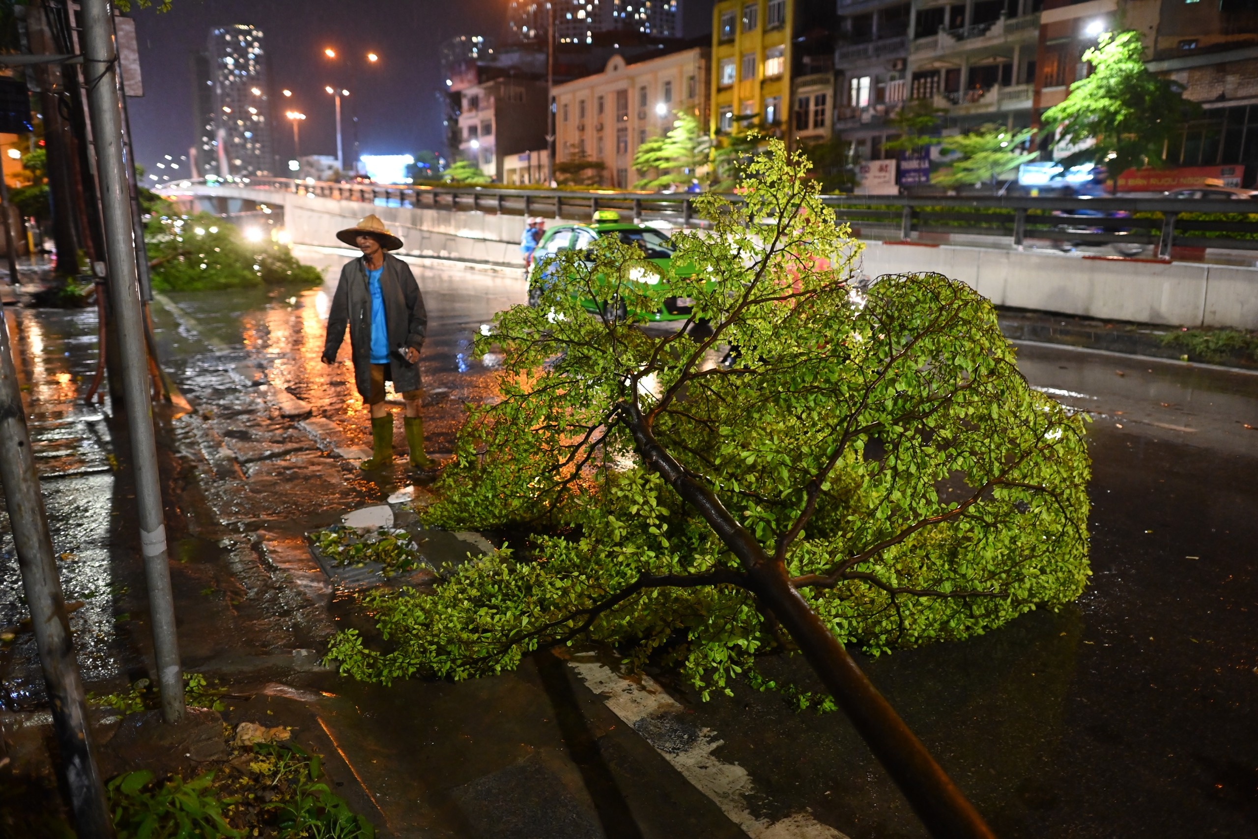mua lon cay do ngap lut o Ha Noi anh 7