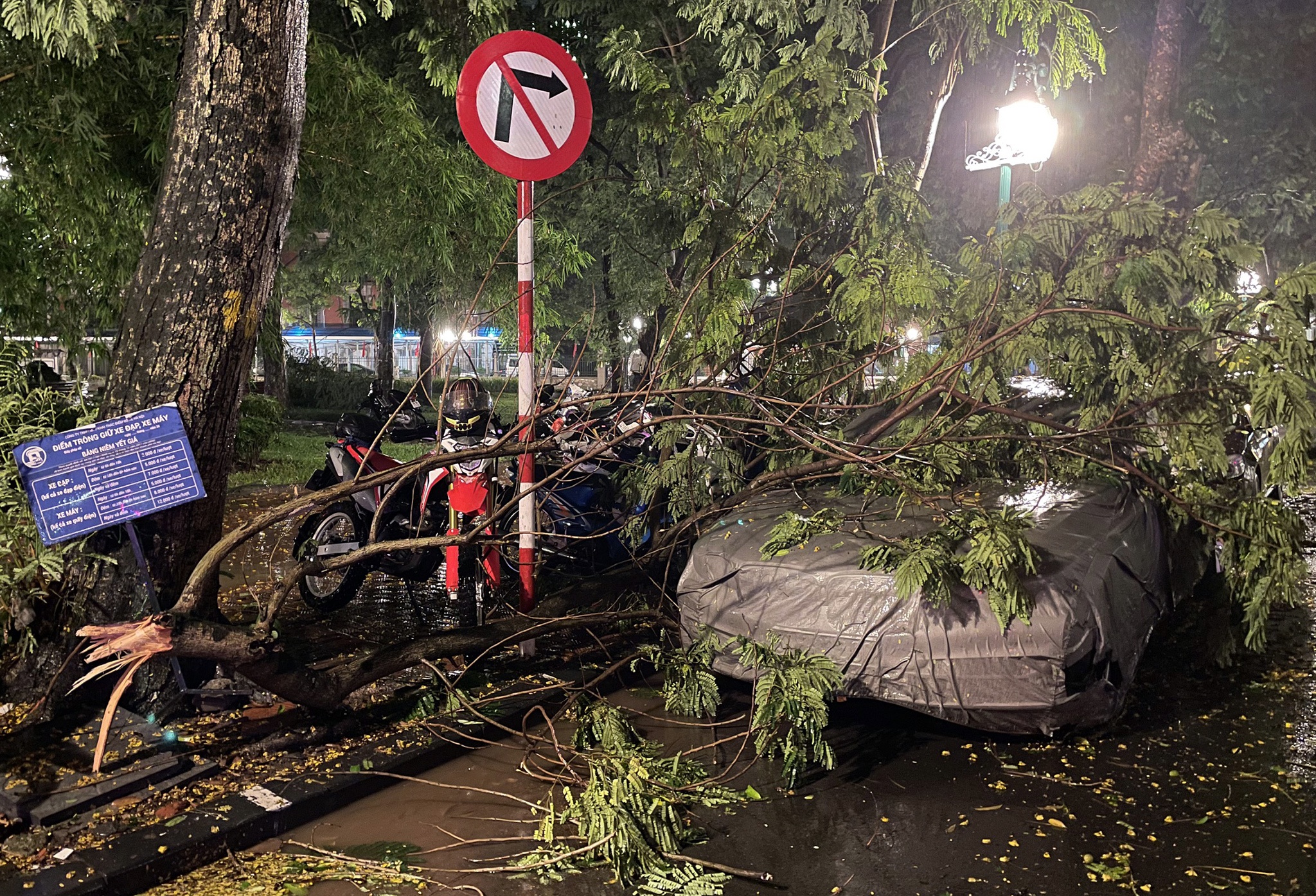 mua lon cay do ngap lut o Ha Noi anh 9