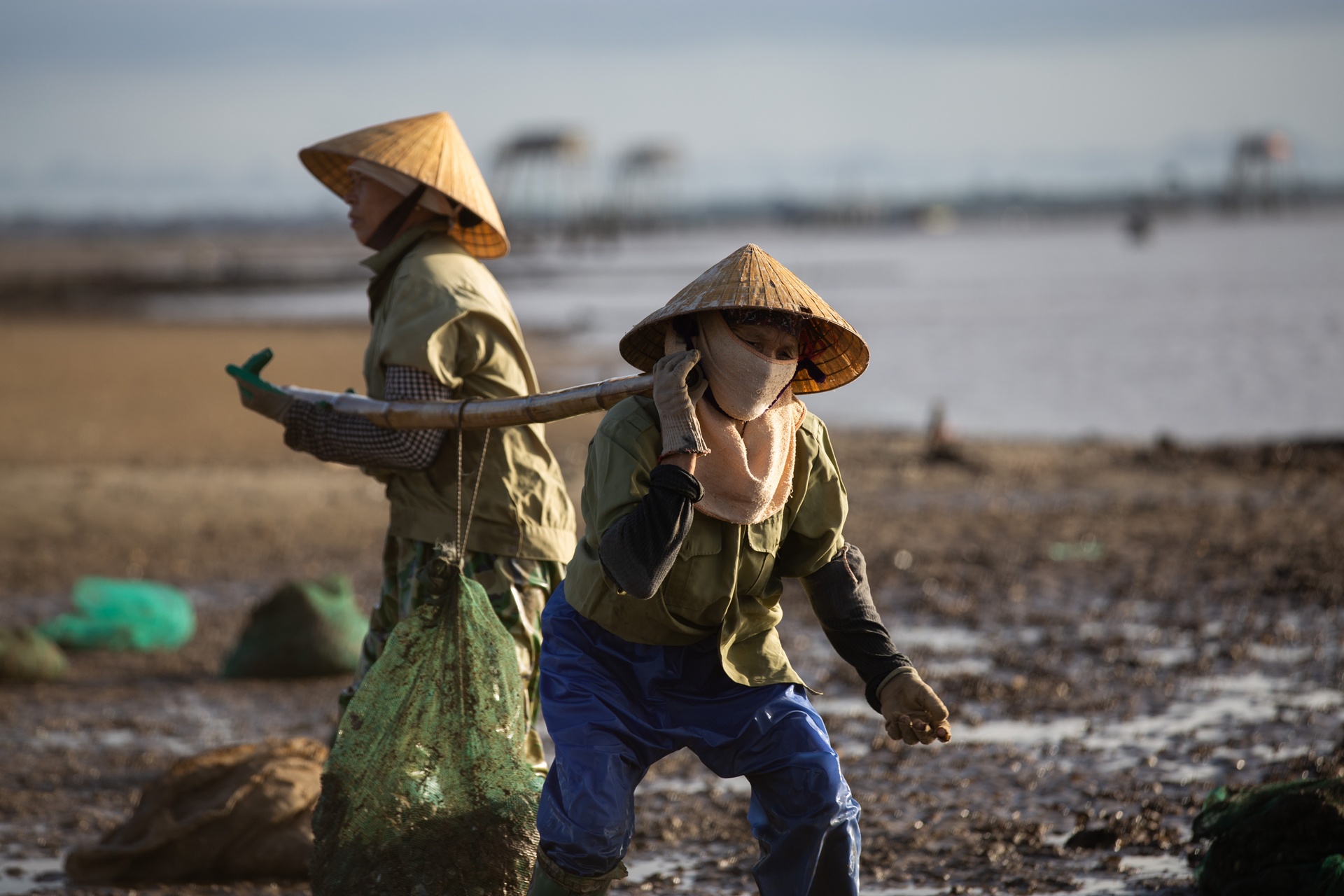 nghe cao ngao o bien Hau Loc anh 21