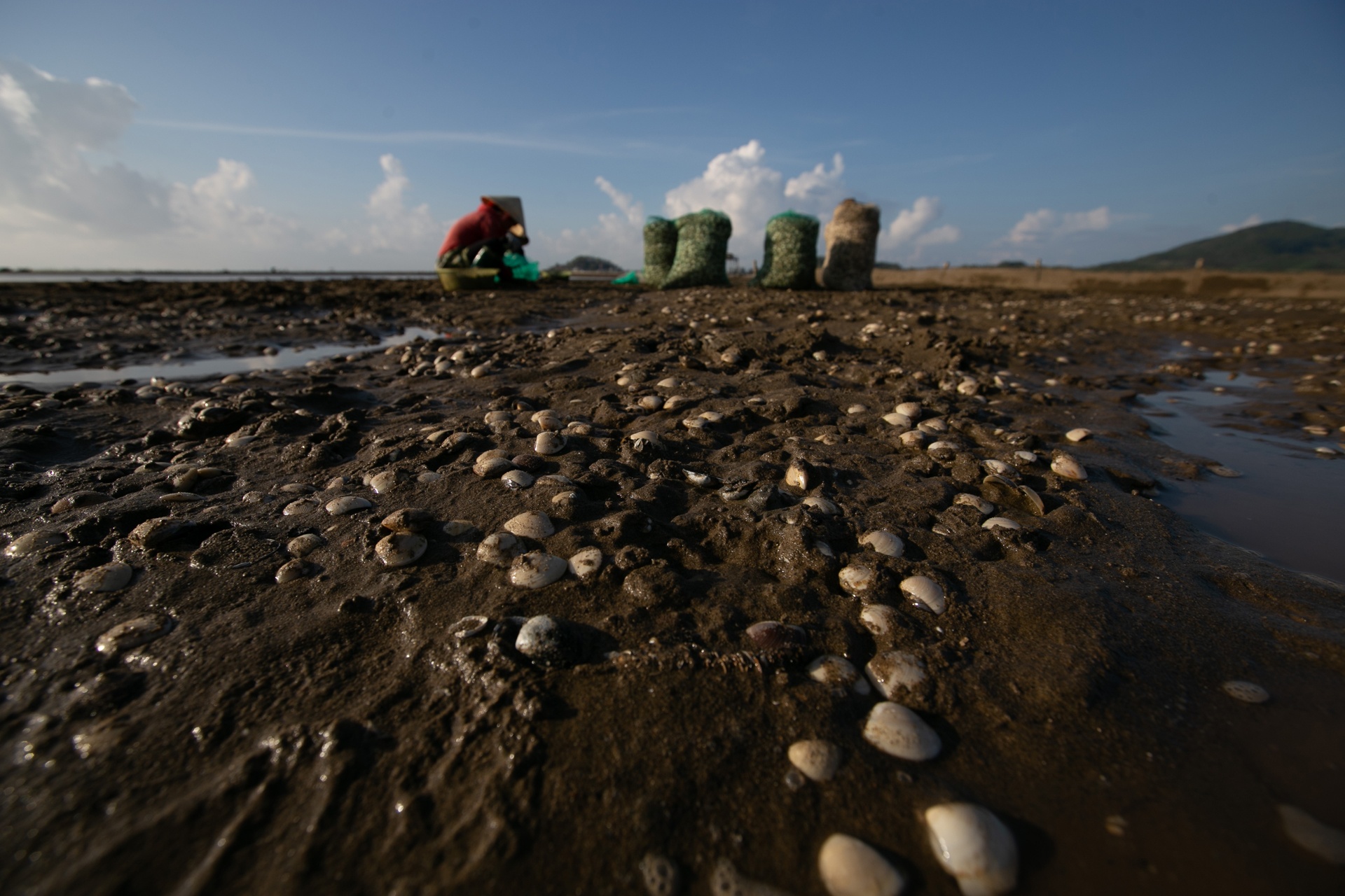 nghe cao ngao o bien Hau Loc anh 11