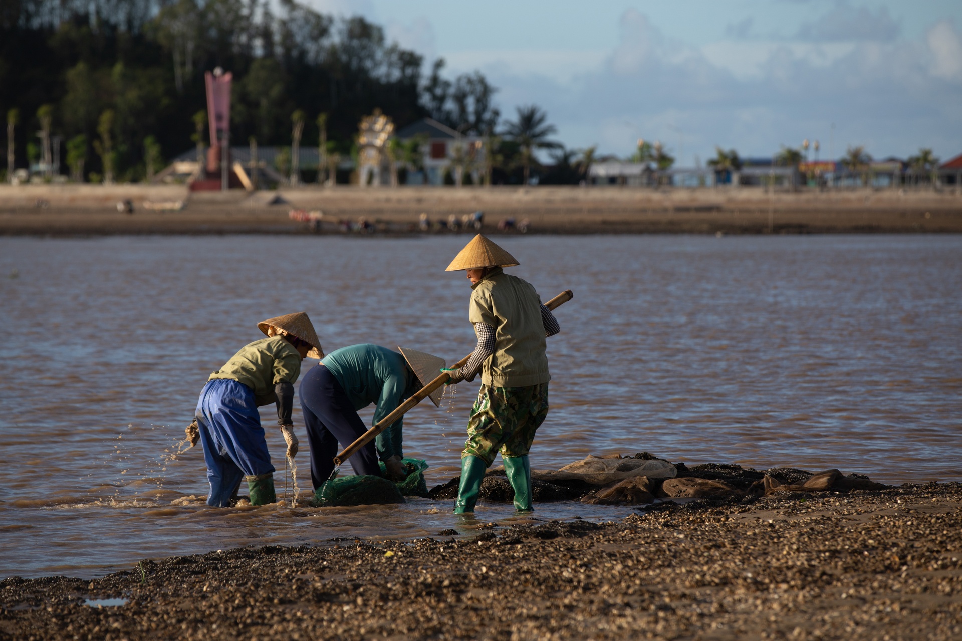 nghề cào ngao ở biển Hậu Lộc ảnh 5 nghe cao ngao o bien Hau Loc anh 5