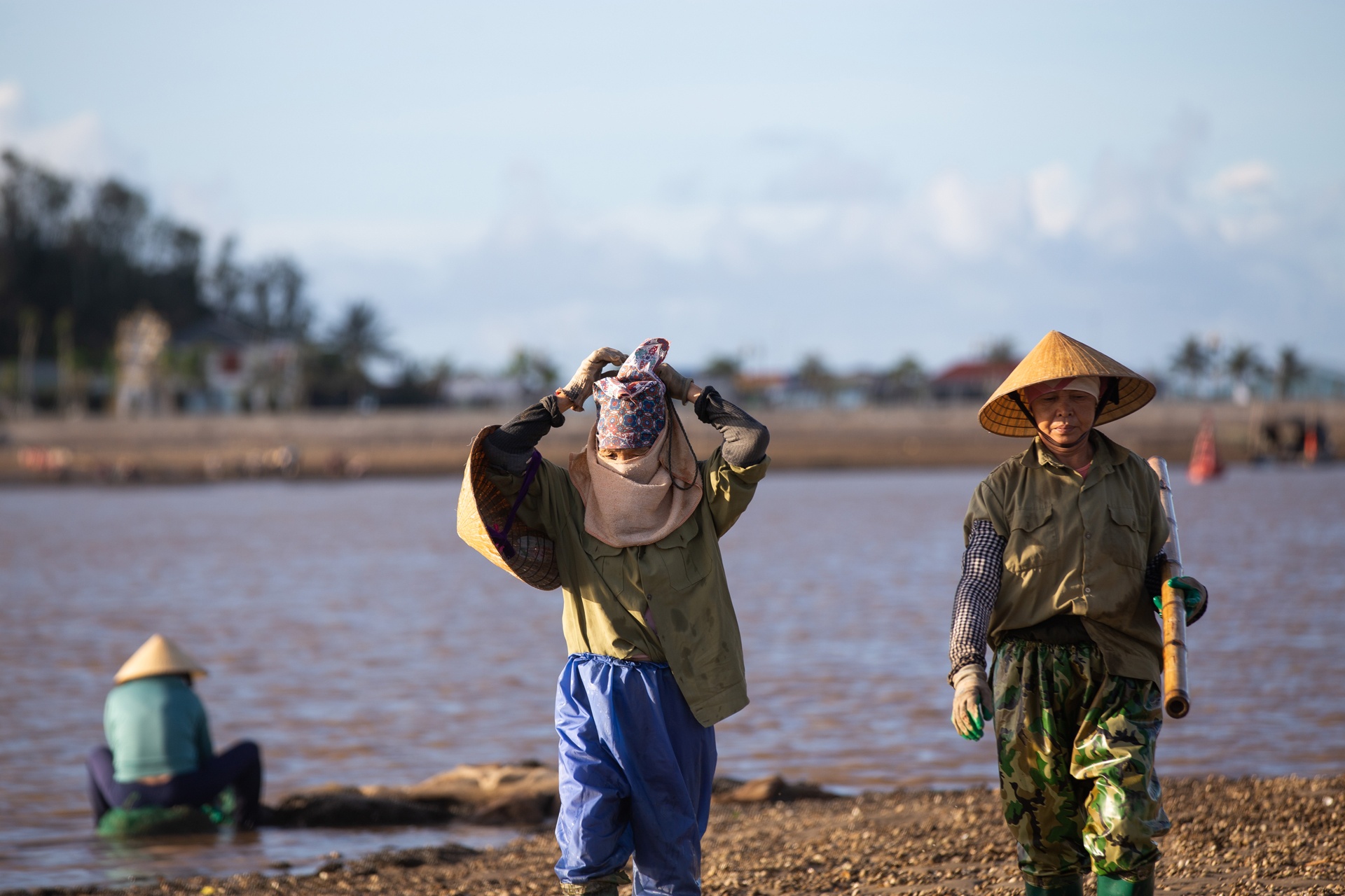 nghề cào ngao ở biển Hậu Lộc ảnh 4 nghe cao ngao o bien Hau Loc anh 4