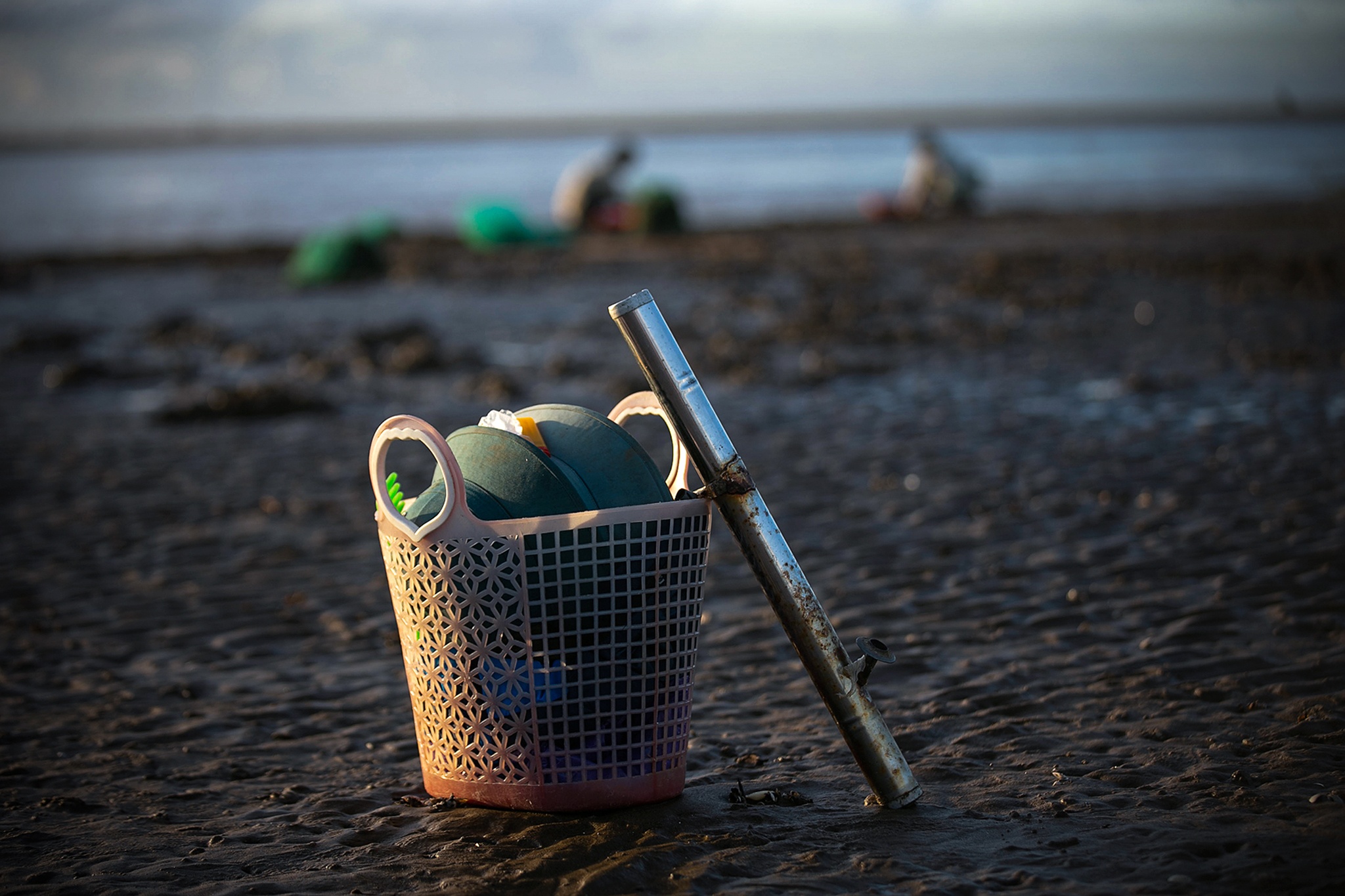 nghề cào ngao ở biển Hậu Lộc ảnh 12 nghe cao ngao o bien Hau Loc anh 12