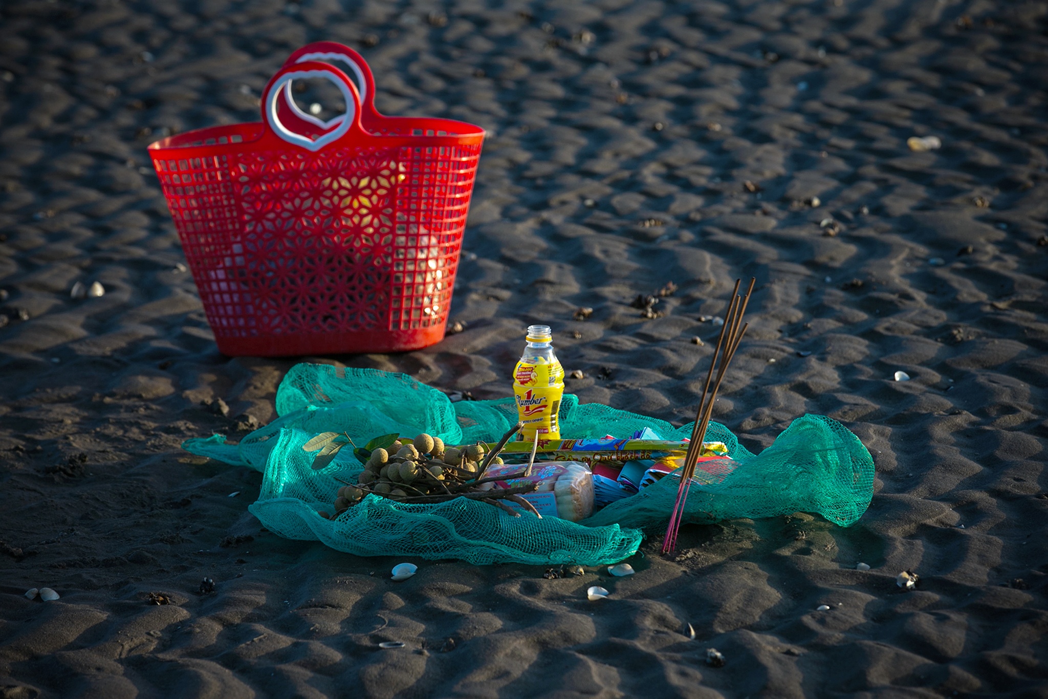 nghề cào ngao ở biển Hậu Lộc ảnh 13 nghe cao ngao o bien Hau Loc anh 13