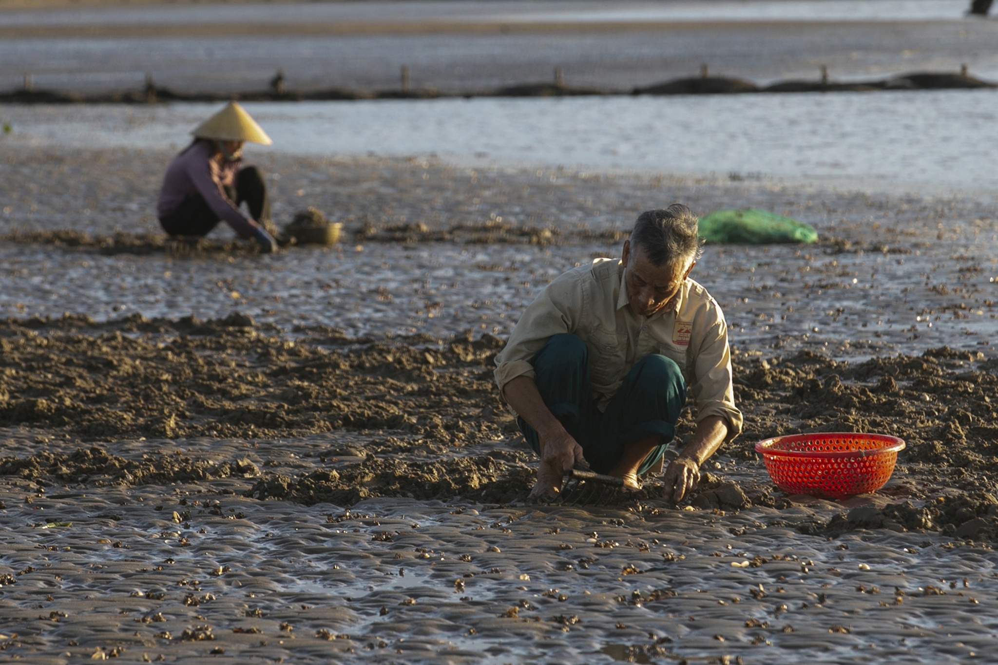 nghề cào ngao ở biển Hậu Lộc ảnh 15 nghe cao ngao o bien Hau Loc anh 15