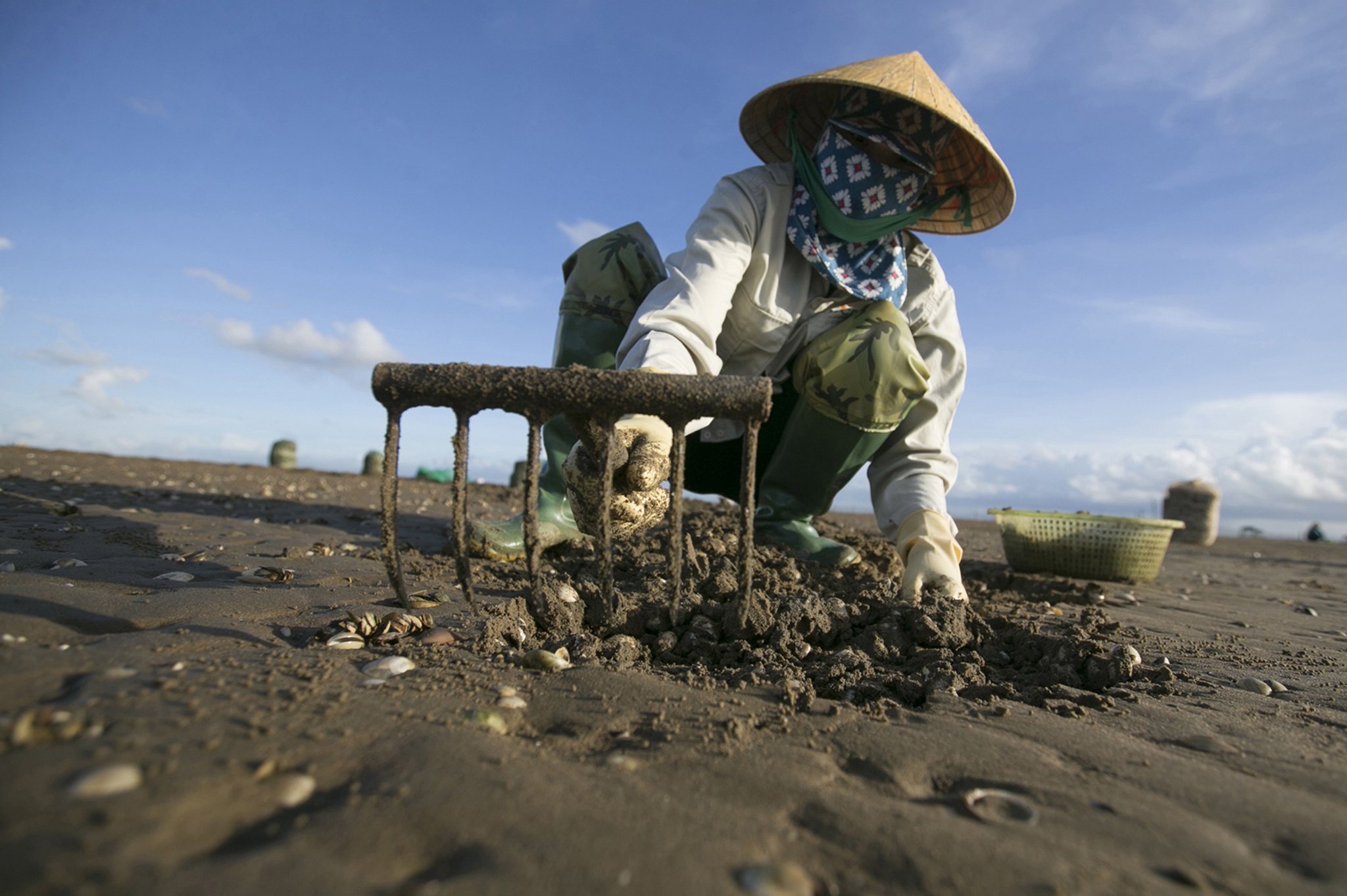 Cao ngao thue 30.000 dong/gio o bien Thanh Hoa hinh anh