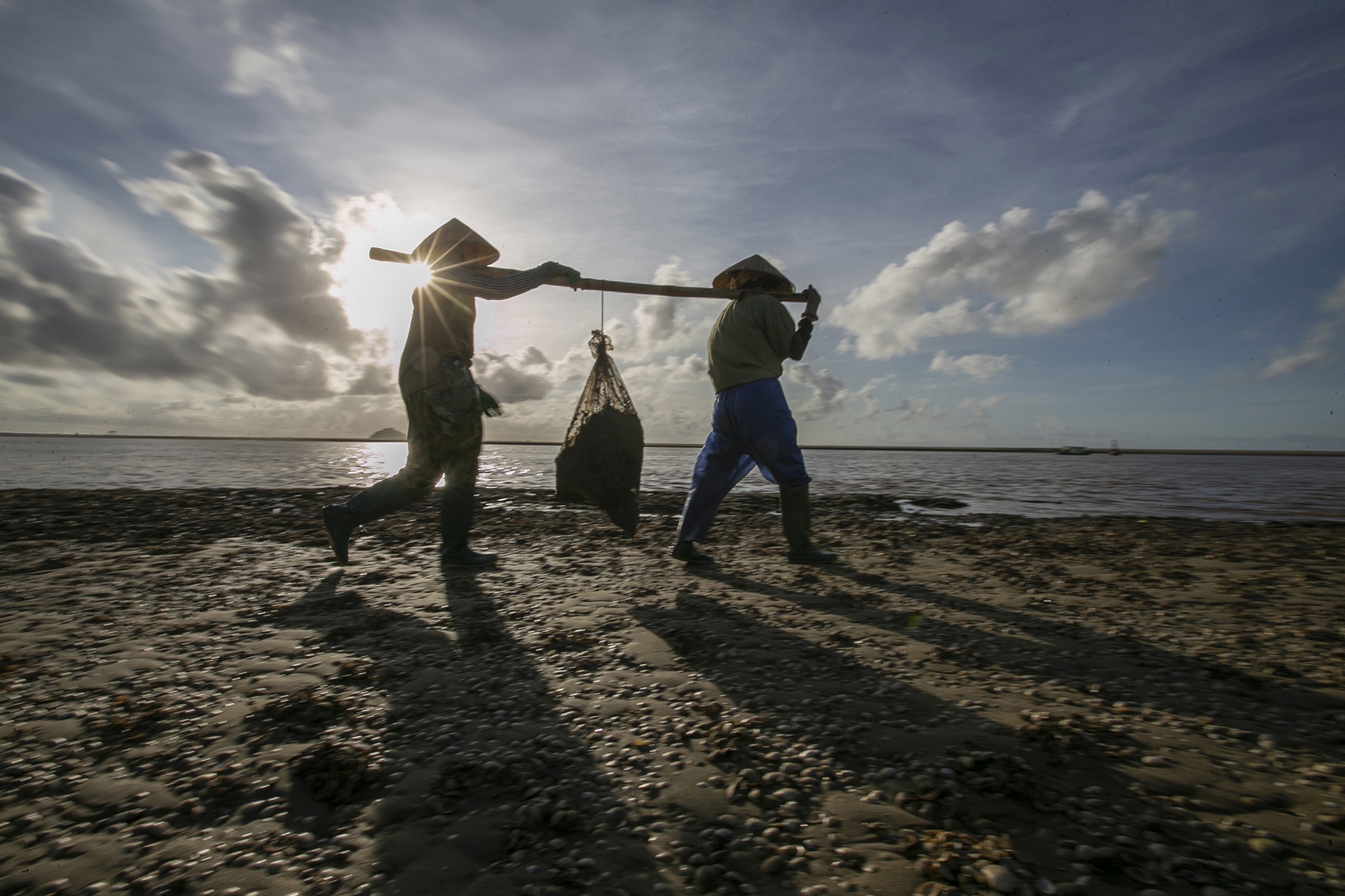 nghề cào ngao ở biển Hậu Lộc ảnh 17 nghe cao ngao o bien Hau Loc anh 17