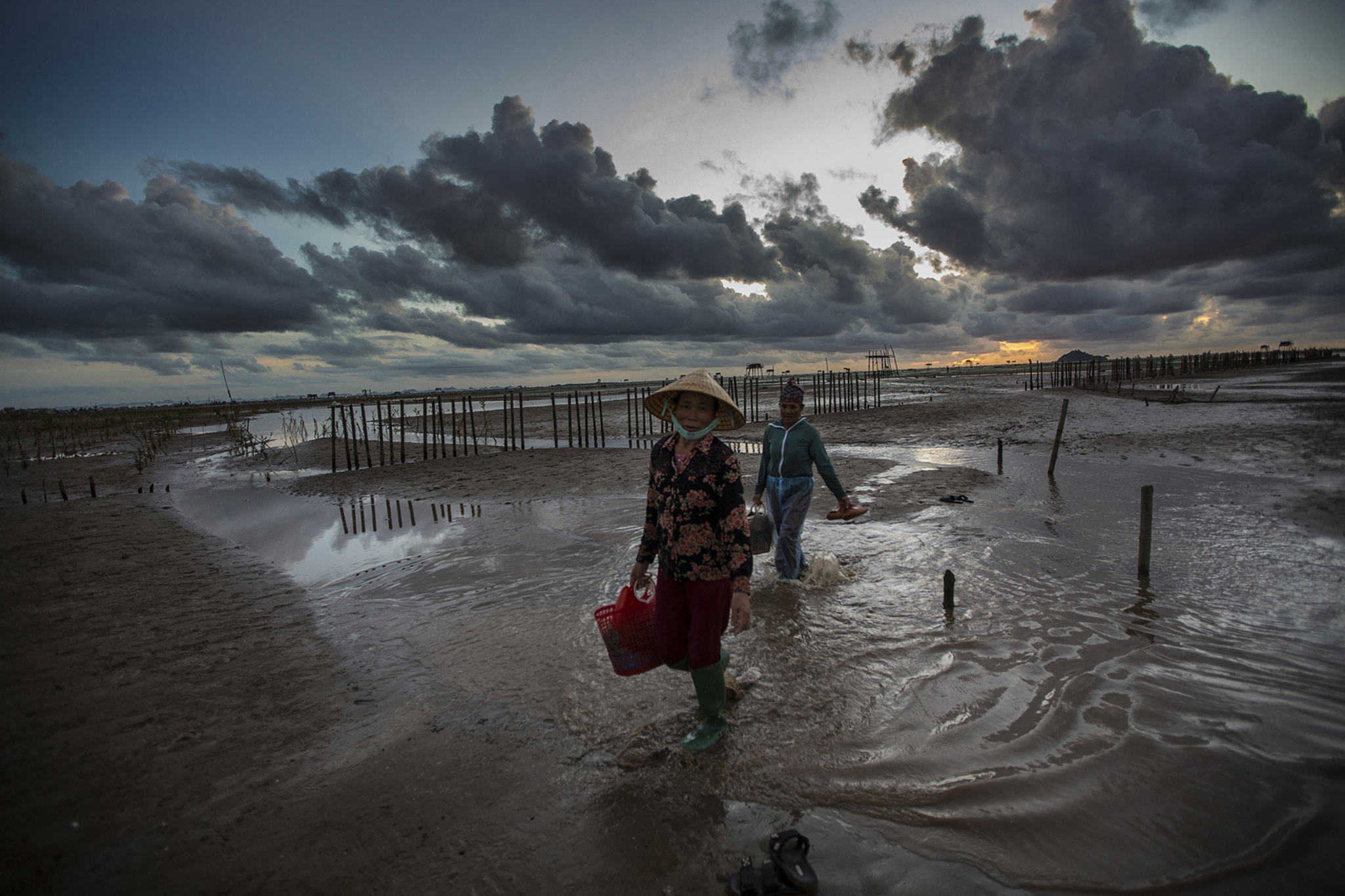 nghề cào ngao ở biển Hậu Lộc ảnh 18 nghe cao ngao o bien Hau Loc anh 18