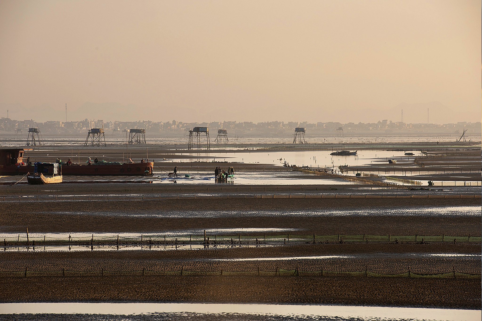 nghe cao ngao o bien Hau Loc anh 6