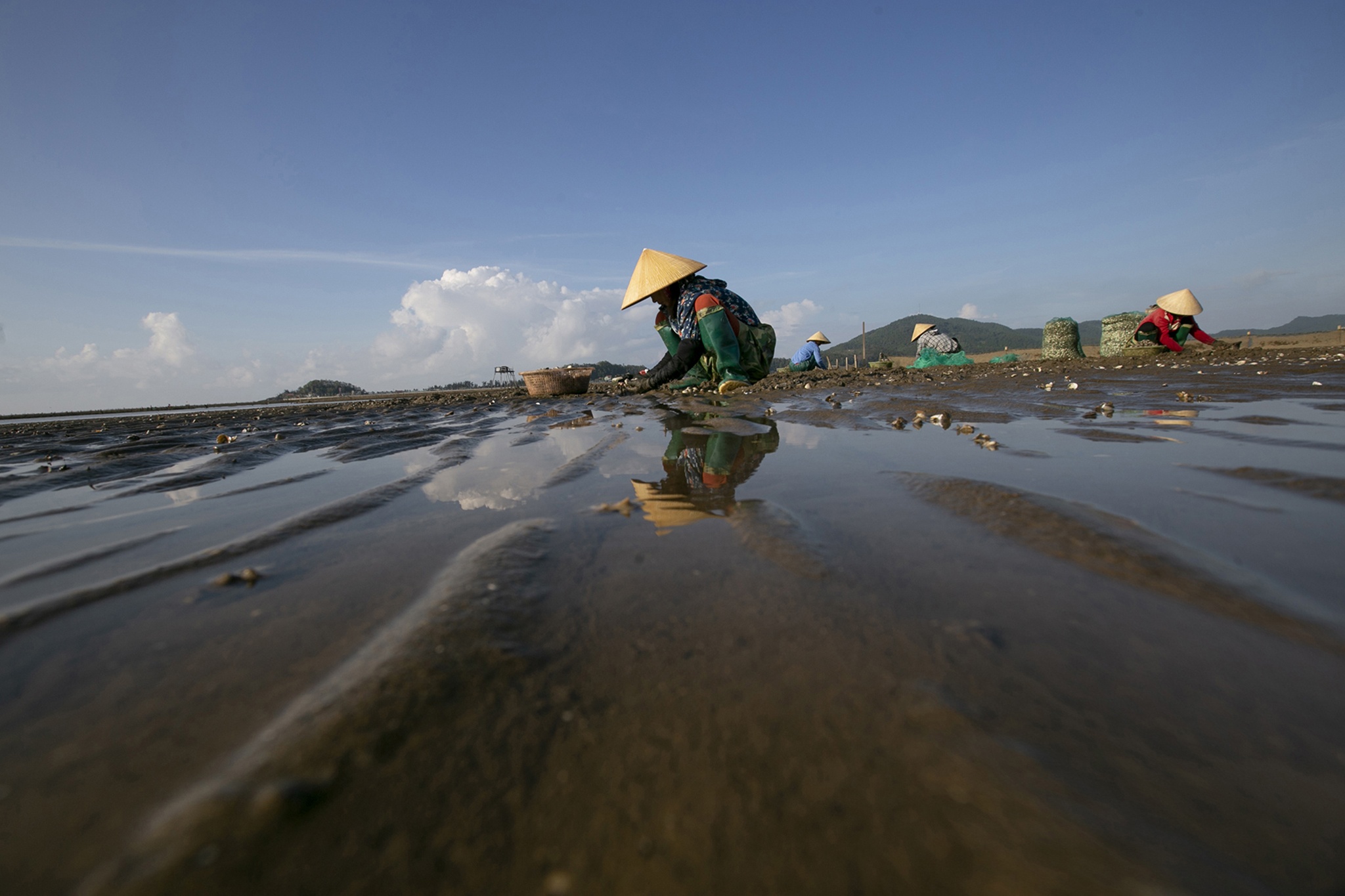 nghe cao ngao o bien Hau Loc anh 30