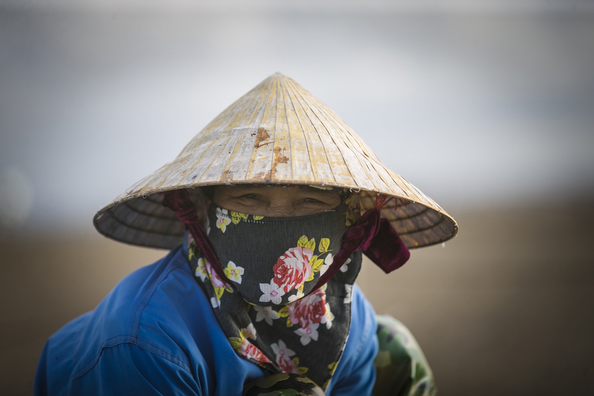 nghề cào ngao ở biển Hậu Lộc ảnh 26 nghe cao ngao o bien Hau Loc anh 26