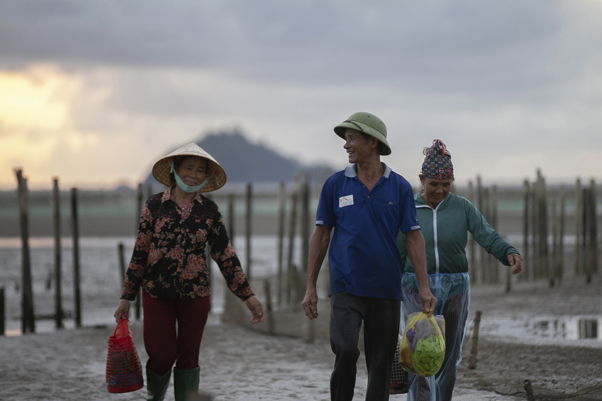 nghề cào ngao ở biển Hậu Lộc ảnh 3 nghe cao ngao o bien Hau Loc anh 3