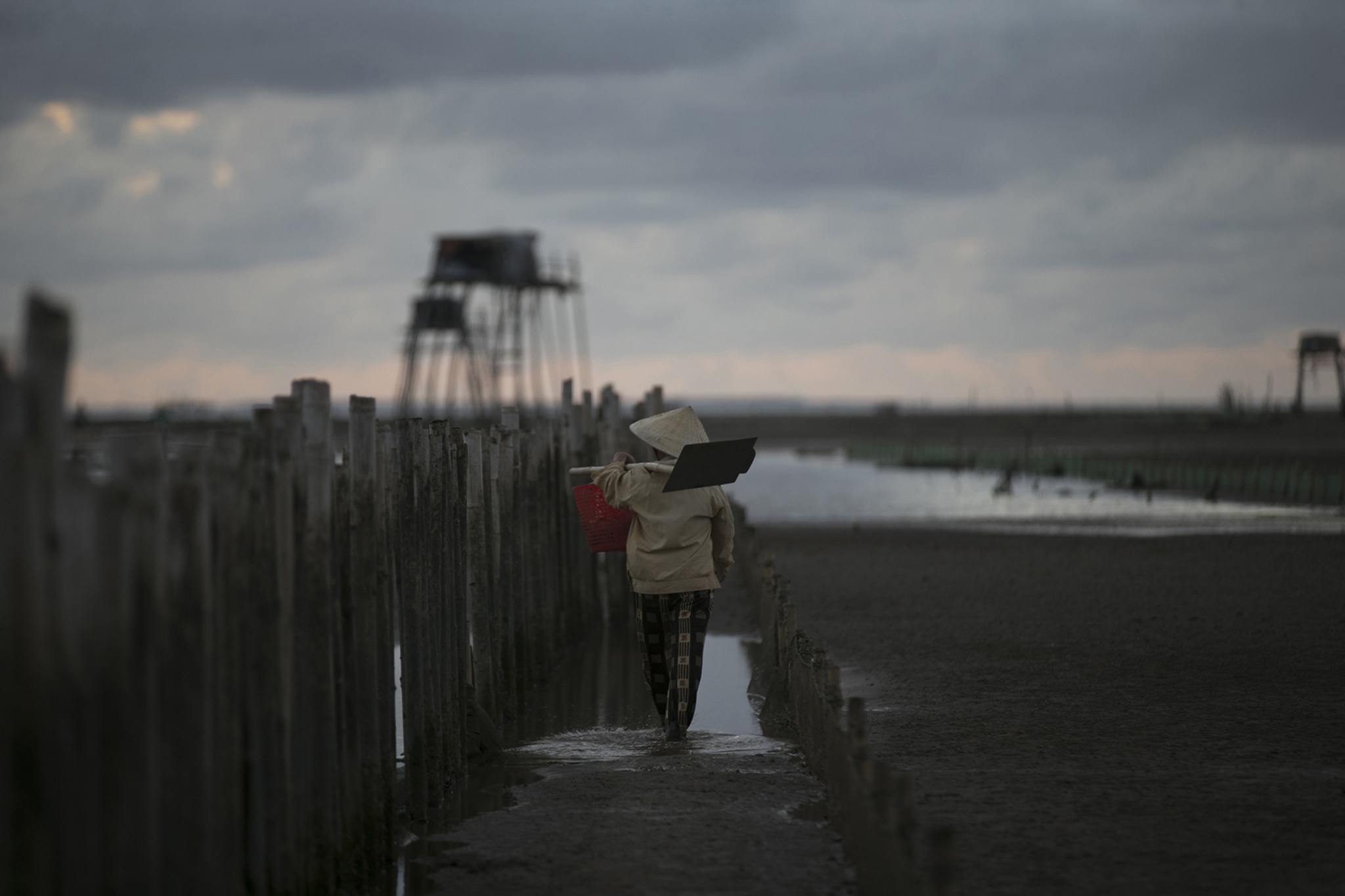 nghề cào ngao ở biển Hậu Lộc ảnh 2 nghe cao ngao o bien Hau Loc anh 2